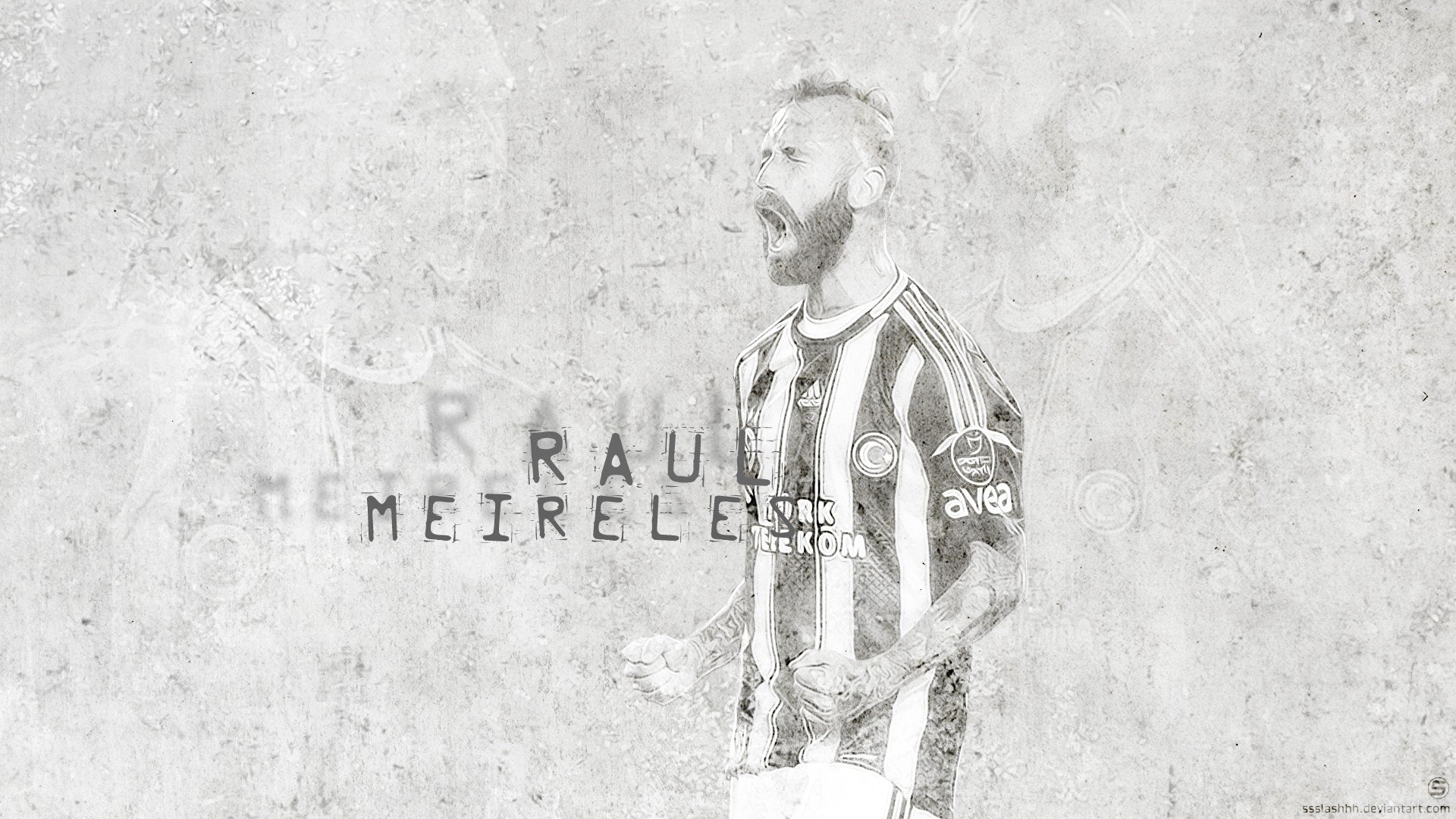 soccer, fenerbahaia, meireles, football, sports, raul, player, fenerbahce, 1080P, HD Wallpaper