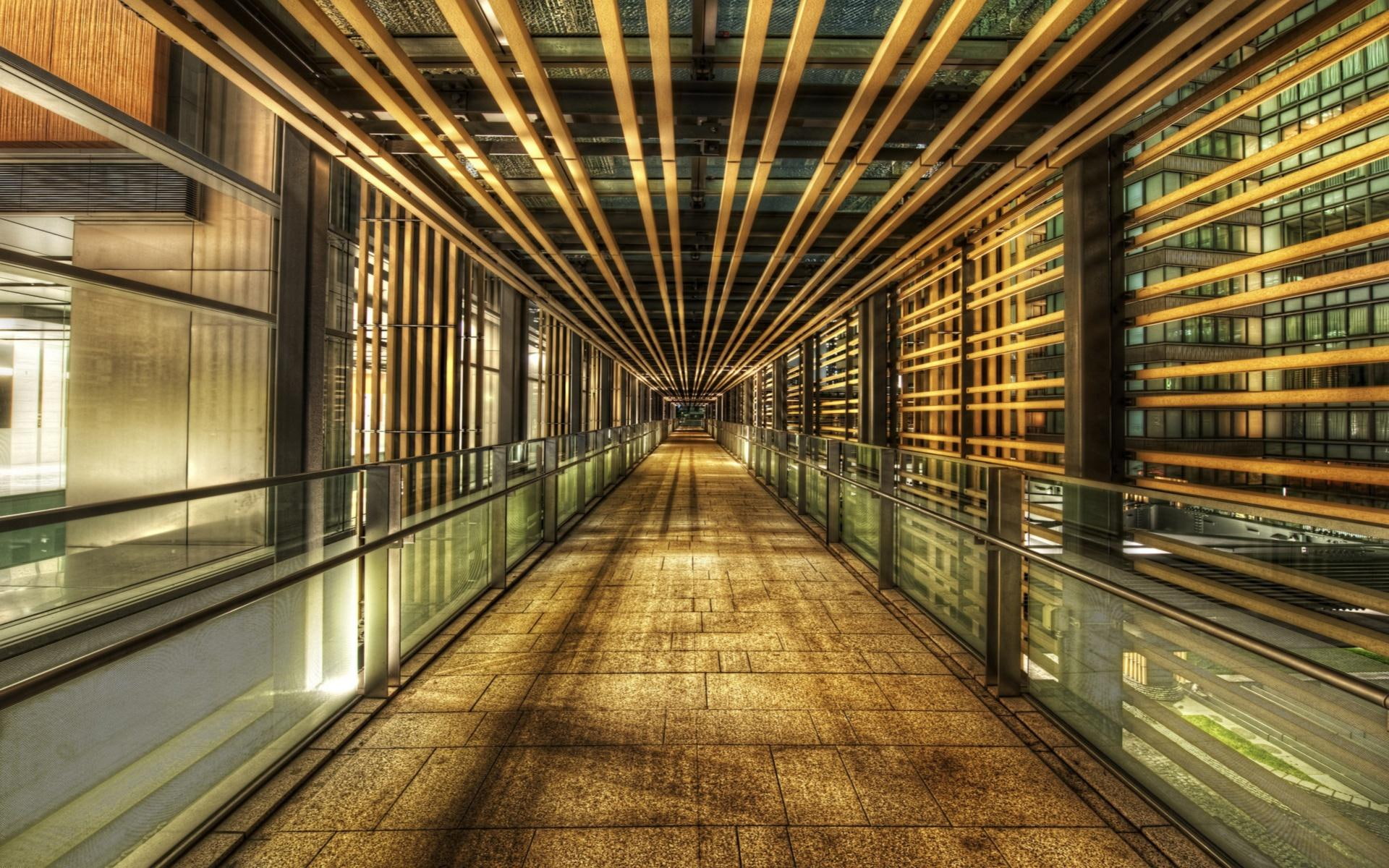 walkway, structure, passage, 1080P, success, railing, building, opportunities, glass panel, animals, HD Wallpaper