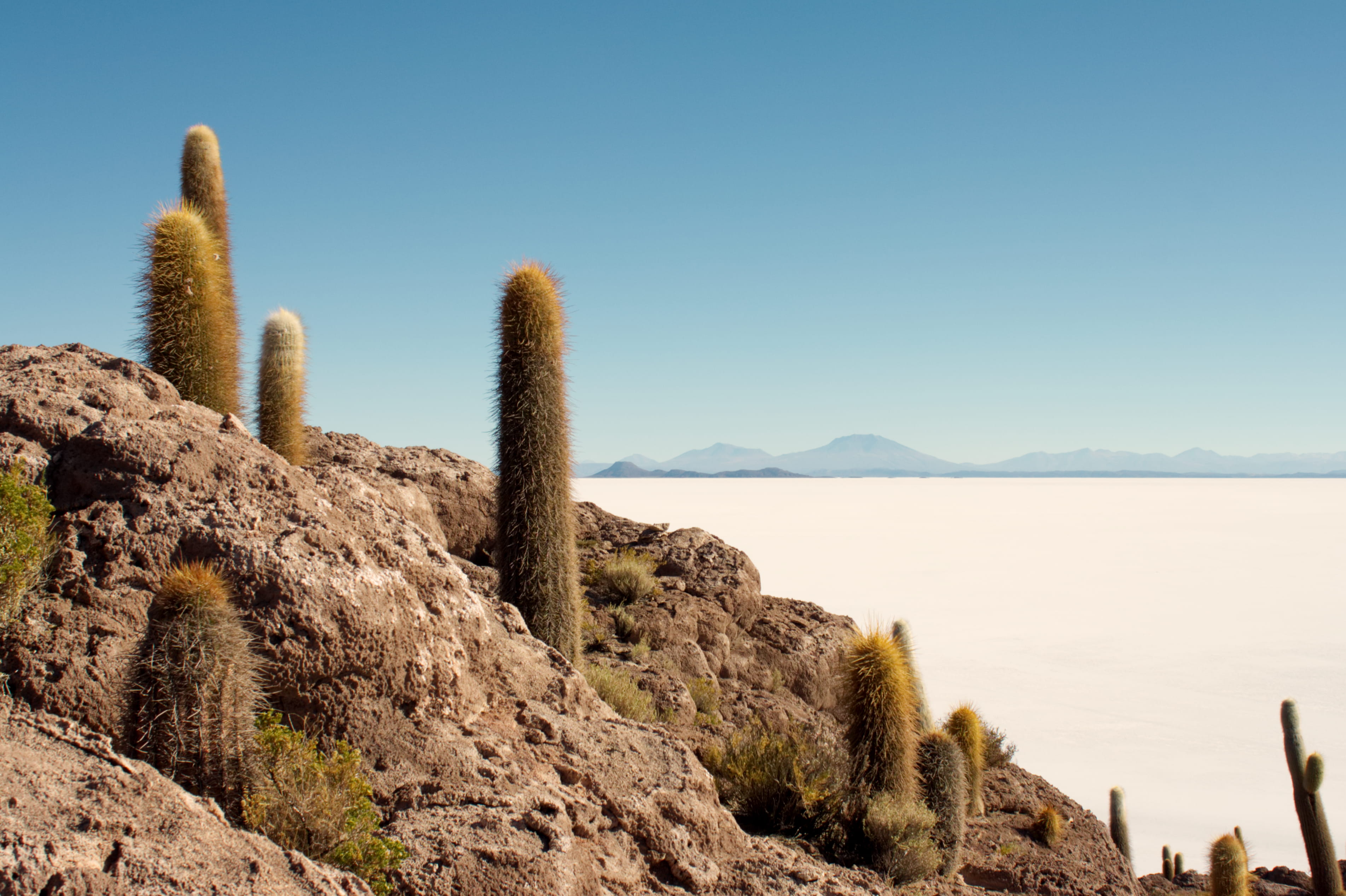 copy space, 2K, land, island, nature, outdoors, sunlight, bolivia, tranquility, arid climate, clear sky, non-urban scene, uyuni, succulent plant, scenics - nature, HD Wallpaper