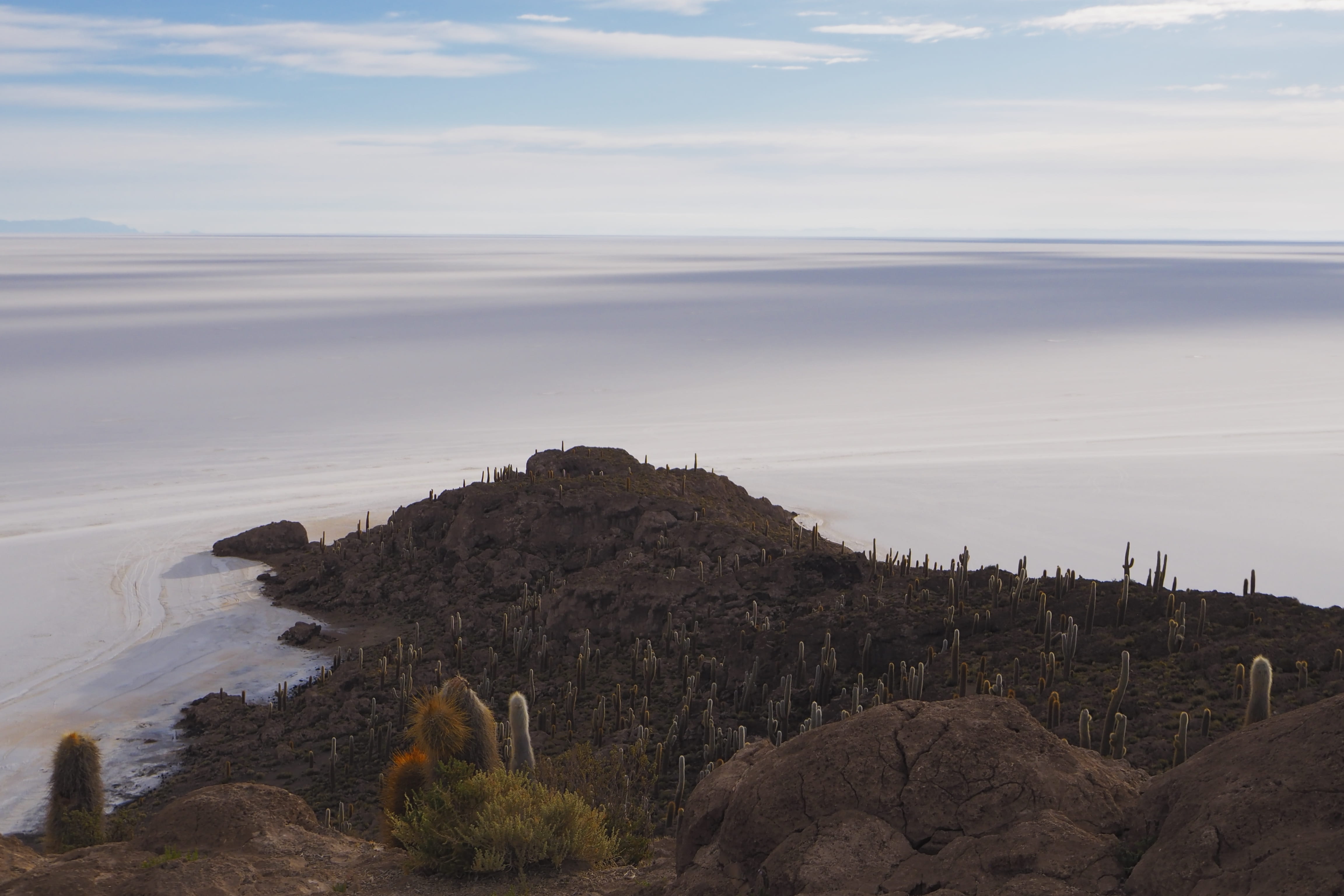 4K, blue sky, scenics - nature, nature, tranquility, solid, tranquil scene, bolivia, outdoors, body, horizon, day, near, beach, plant, rock, cactus, tree, HD Wallpaper