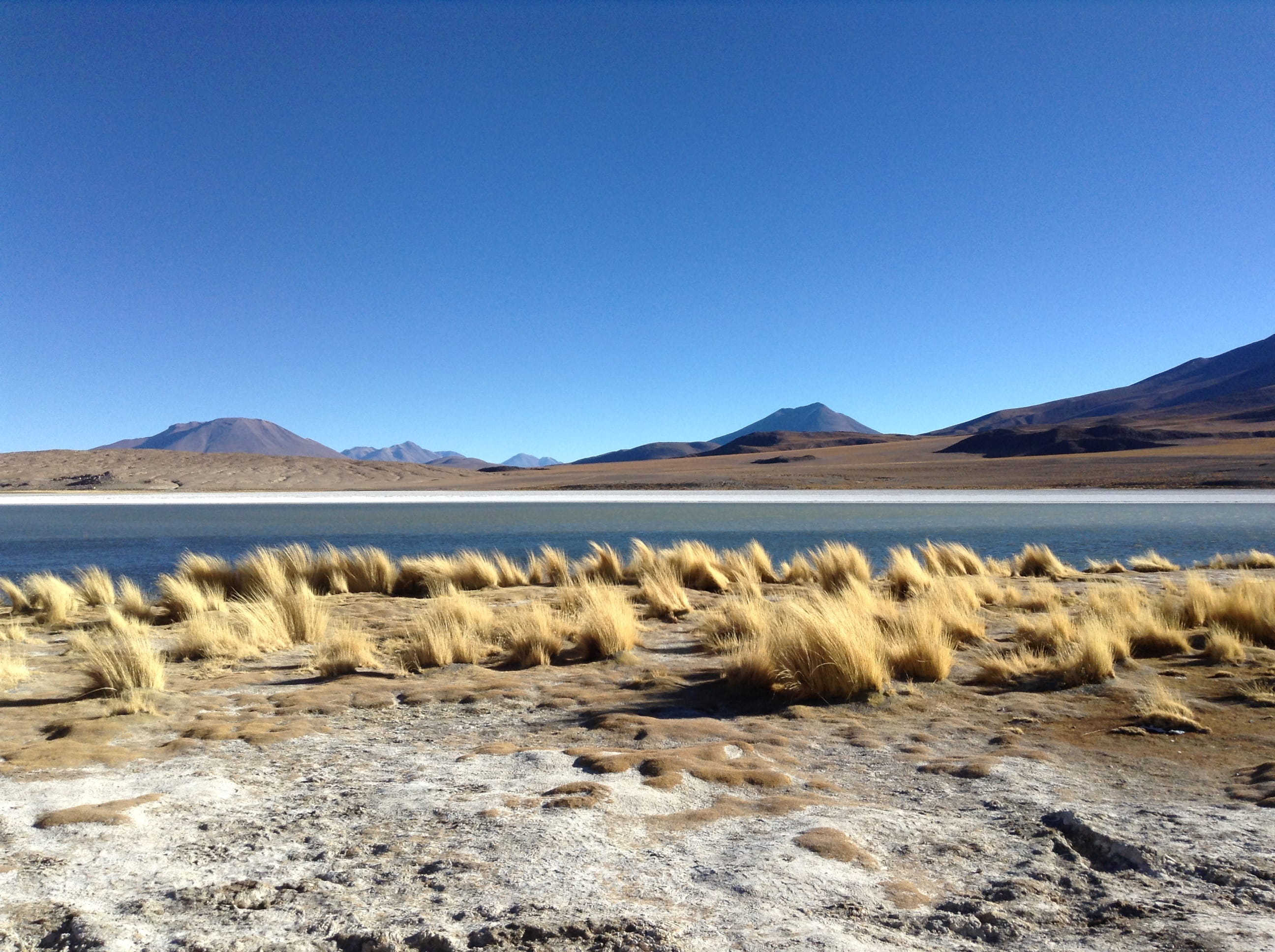 andes, bolivia, grass, water, sky, no people, 2K, idyllic, blue, travel, mountain range, semi-arid, nature, arid climate, tranquility, copy space, outdoors, HD Wallpaper