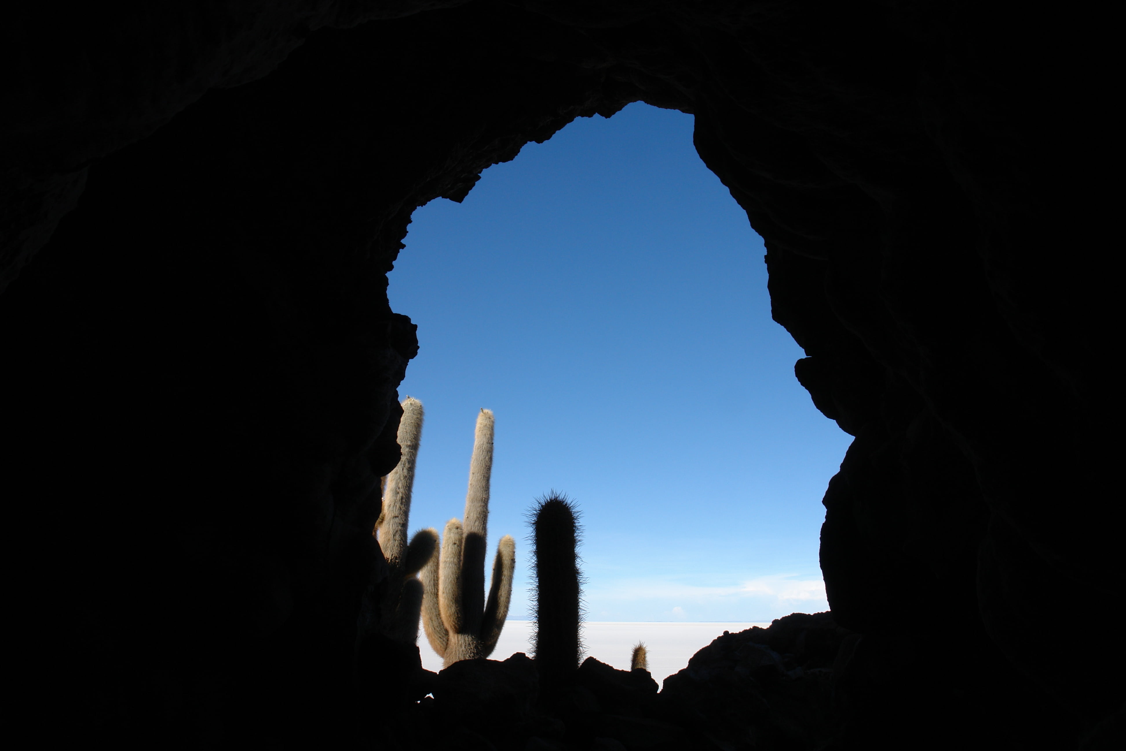 geology, no people, holiday, nature, exotic, indoors, island fish, travel, low angle view, history, built structure, solid, cactus, architecture, natural Arch, HD Wallpaper