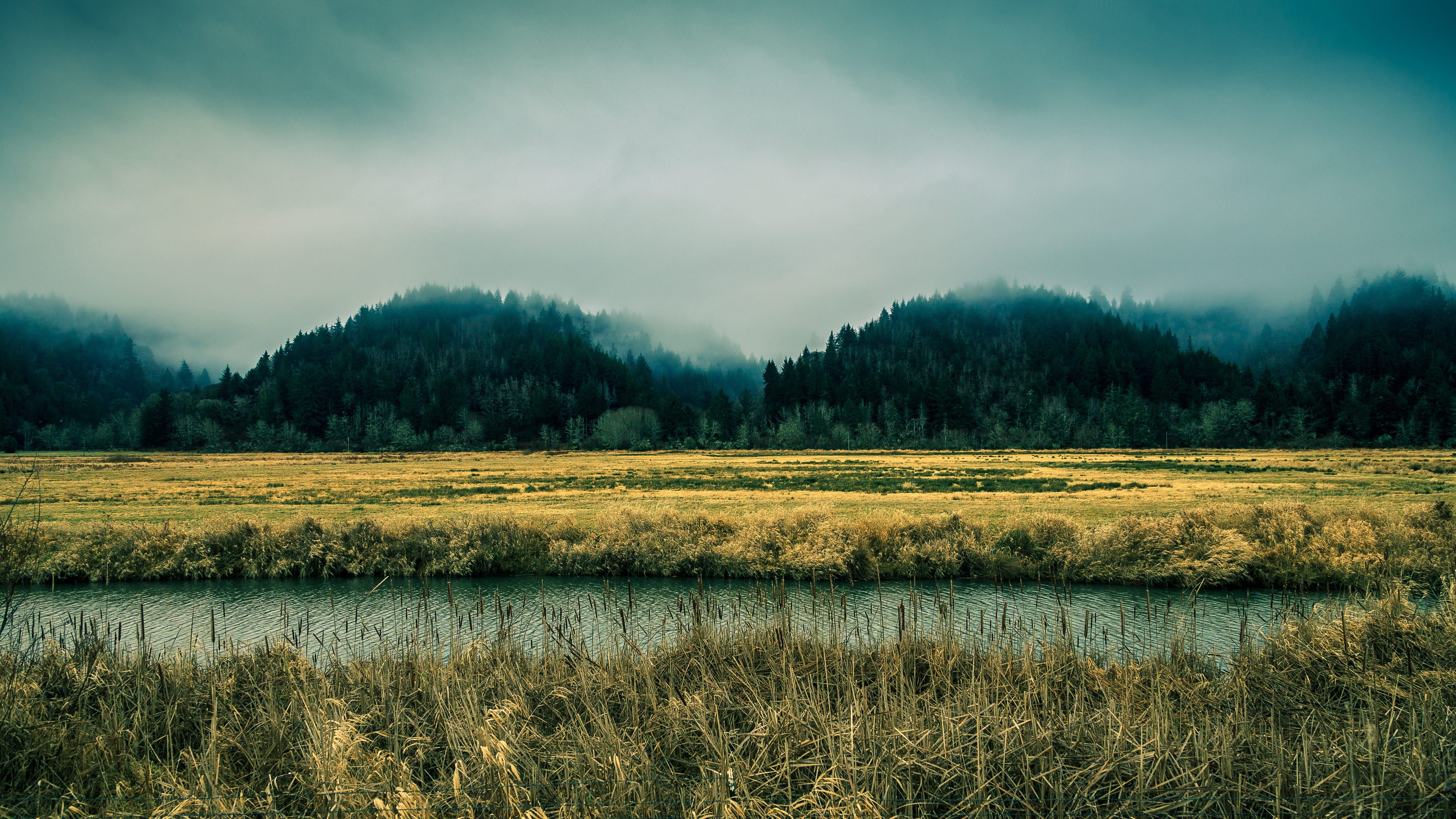 growth, field, day, 5K, nature, tranquility, no people, tranquil scene, non-urban scene, outdoors, lake, environment, beauty in nature, landscape, Oregon, HD Wallpaper