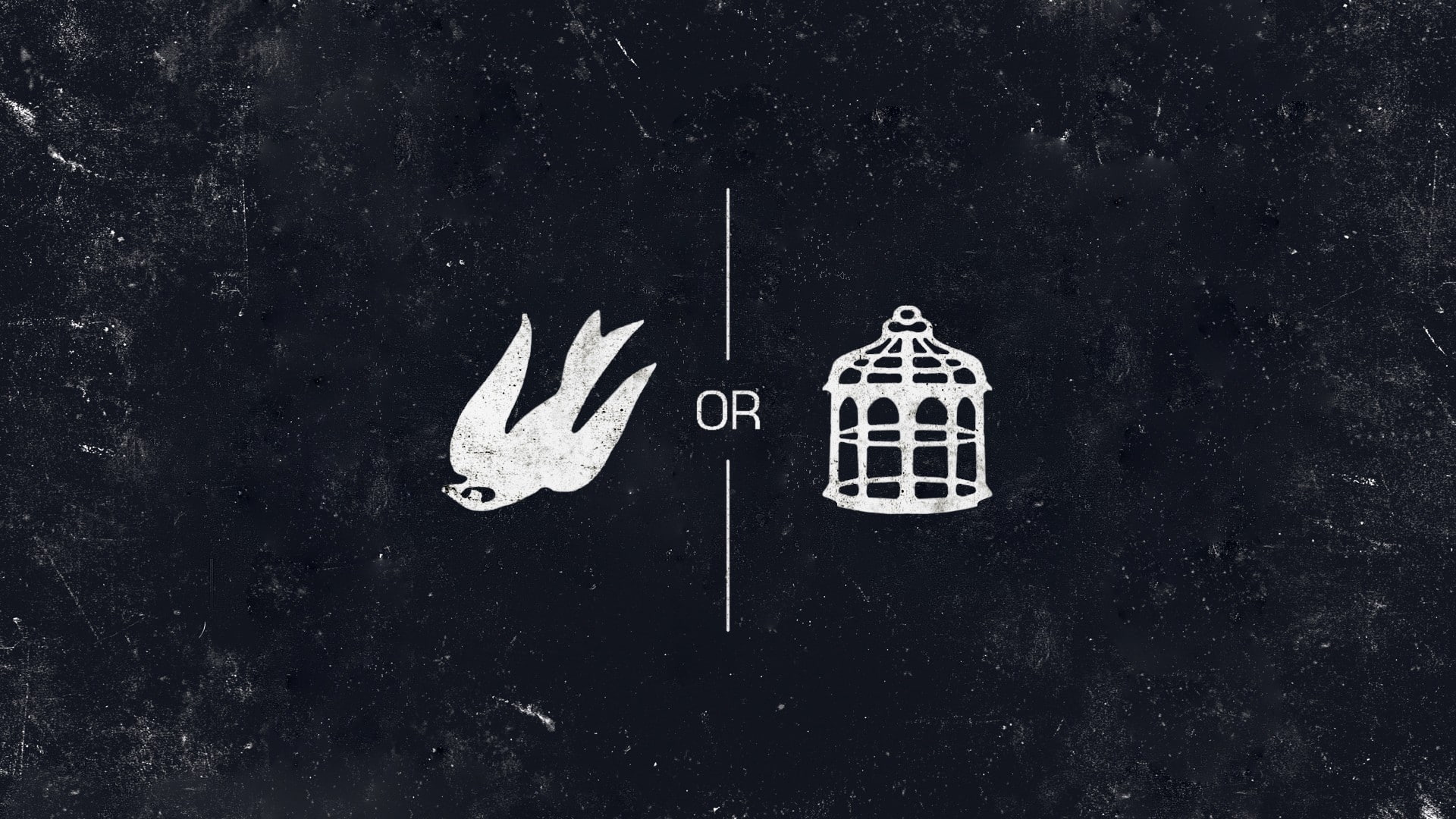 grunge, video games, BioShock, cages, 1080P, birds, minimalism, BioShock Infinite, HD Wallpaper