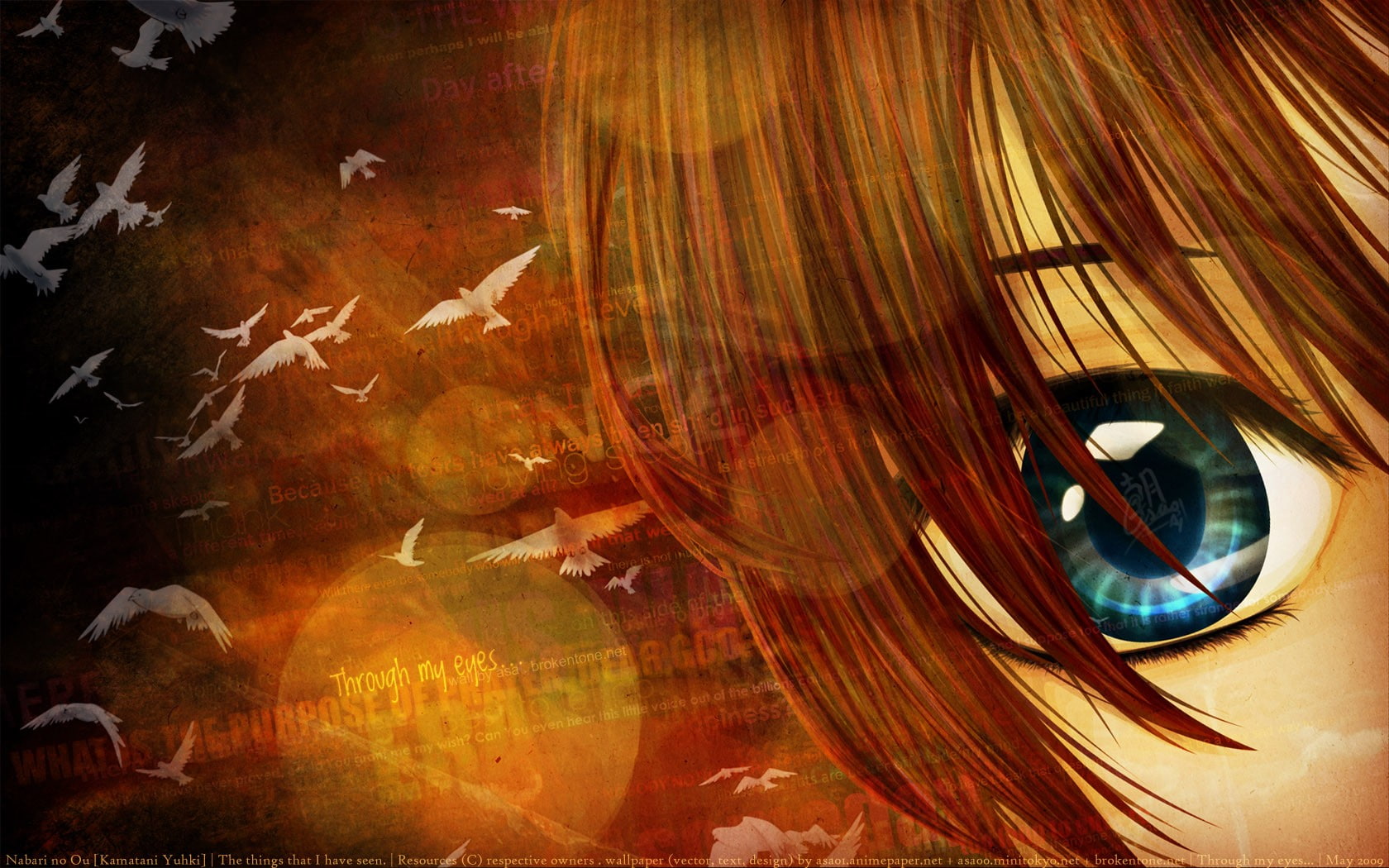 blue eyes, dove, 720P, eyes, anime, manga, anime girls, HD Wallpaper