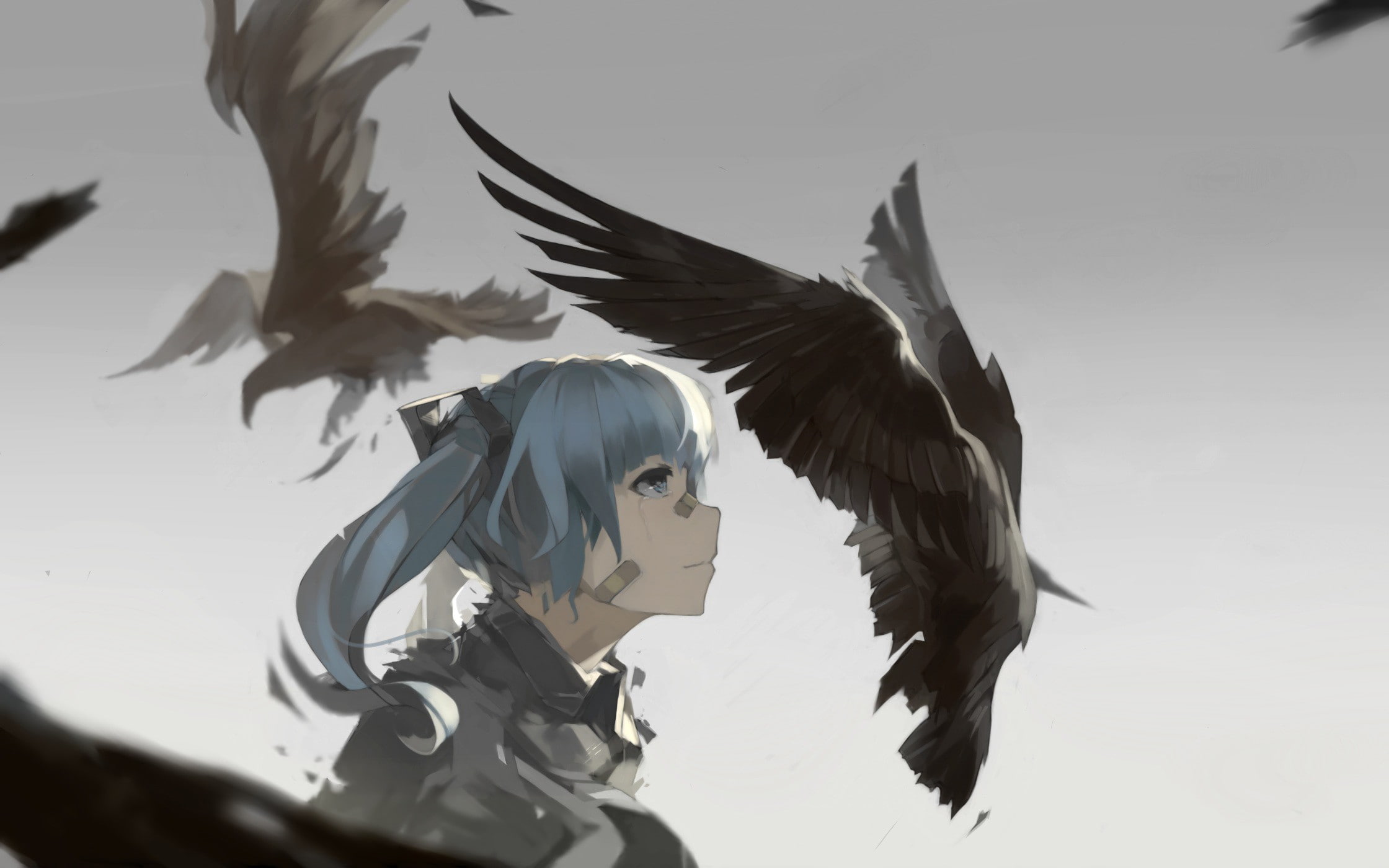 group of animals, Hatsune Miku, two animals, animal, flying, mid-air, birds, bird, animal themes, spread wings, sky, flapping, focus on foreground, crow, HD Wallpaper
