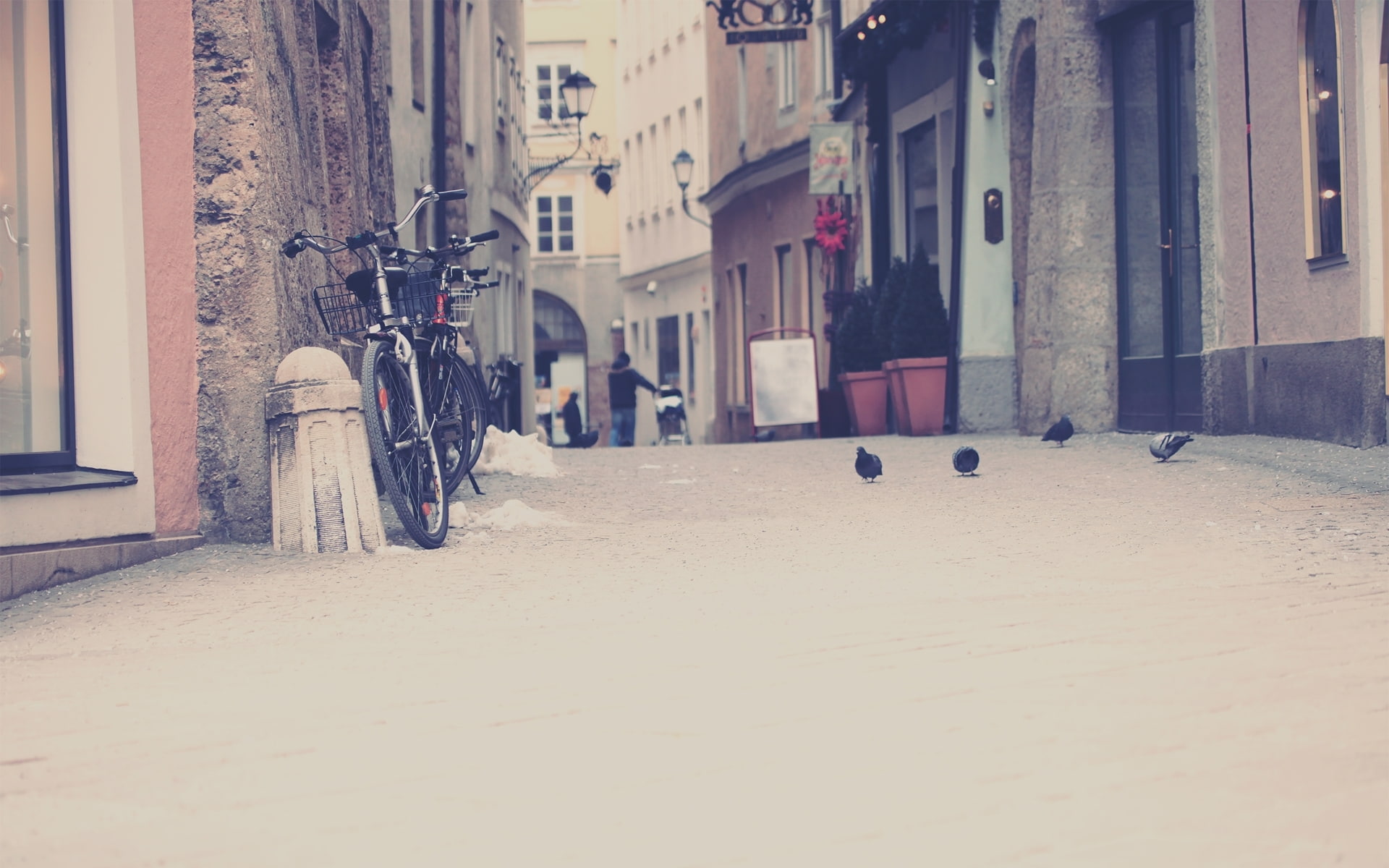 bike, for desktop, the sidewalk, pigeons, photo, home, is, Desk, the city, track, city, street, 1080P, birds, HD Wallpaper