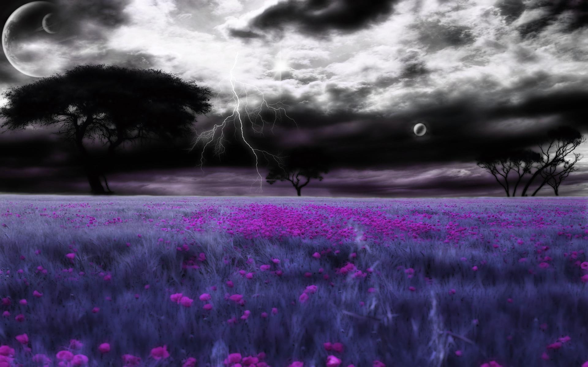 1080P, little, world, fantas, fields, abstract, 3d and abstract, peace, mad, HD Wallpaper