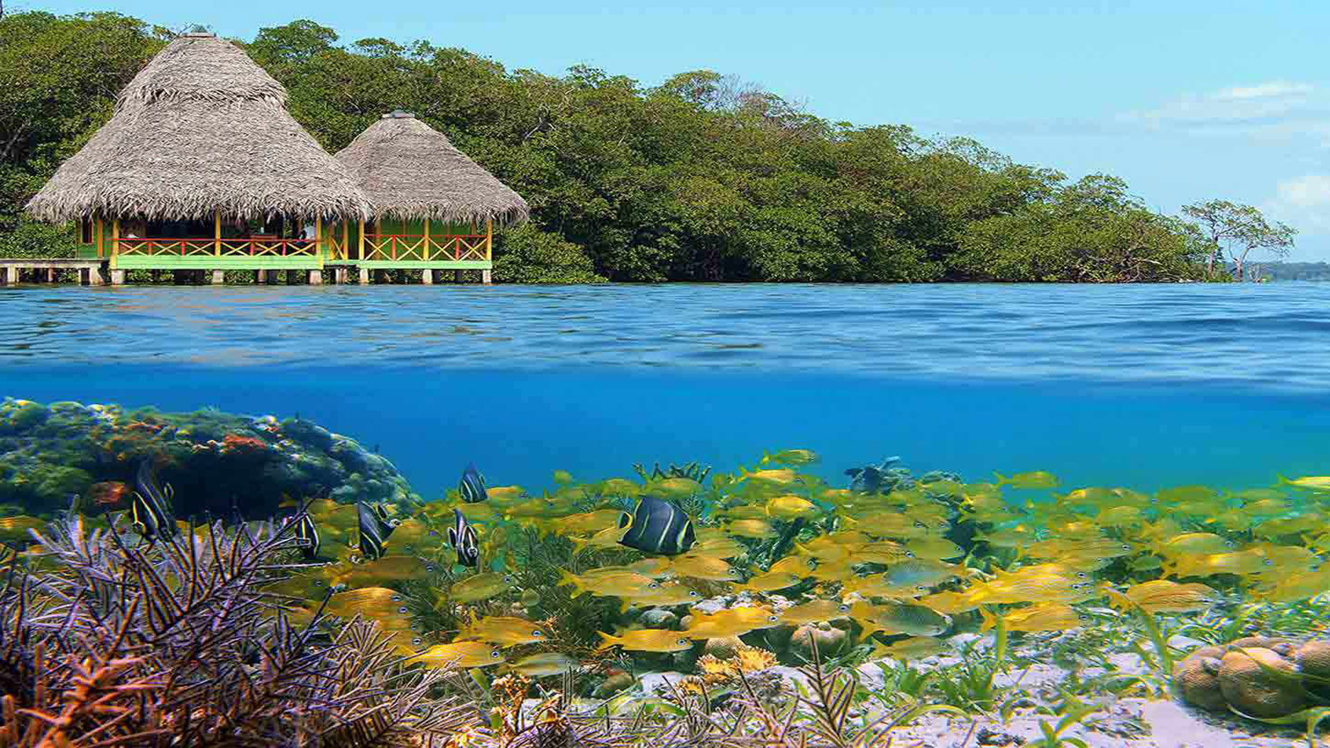 tropical, bungalow, 1080P, del, coral, hd, exotic, sea, fish, underwater, panama, cabin, toro, world, bocas, tranquility, reef, peace, places, HD Wallpaper