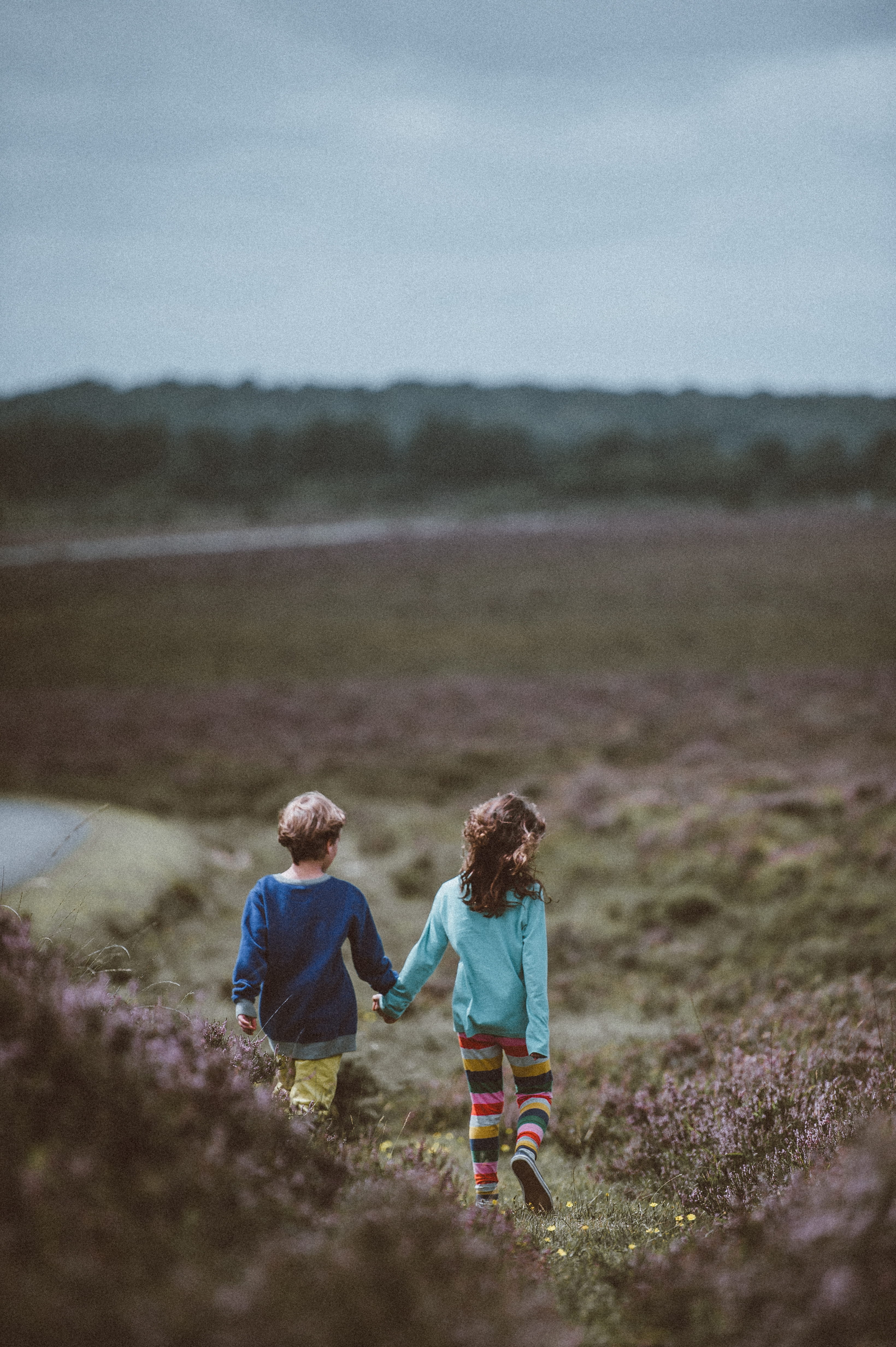 holding hands, sky, children, walking, mountain, men, family, field, two people, real people, landscape, leisure activity, casual clothing, child, sister, Phone HD Wallpaper