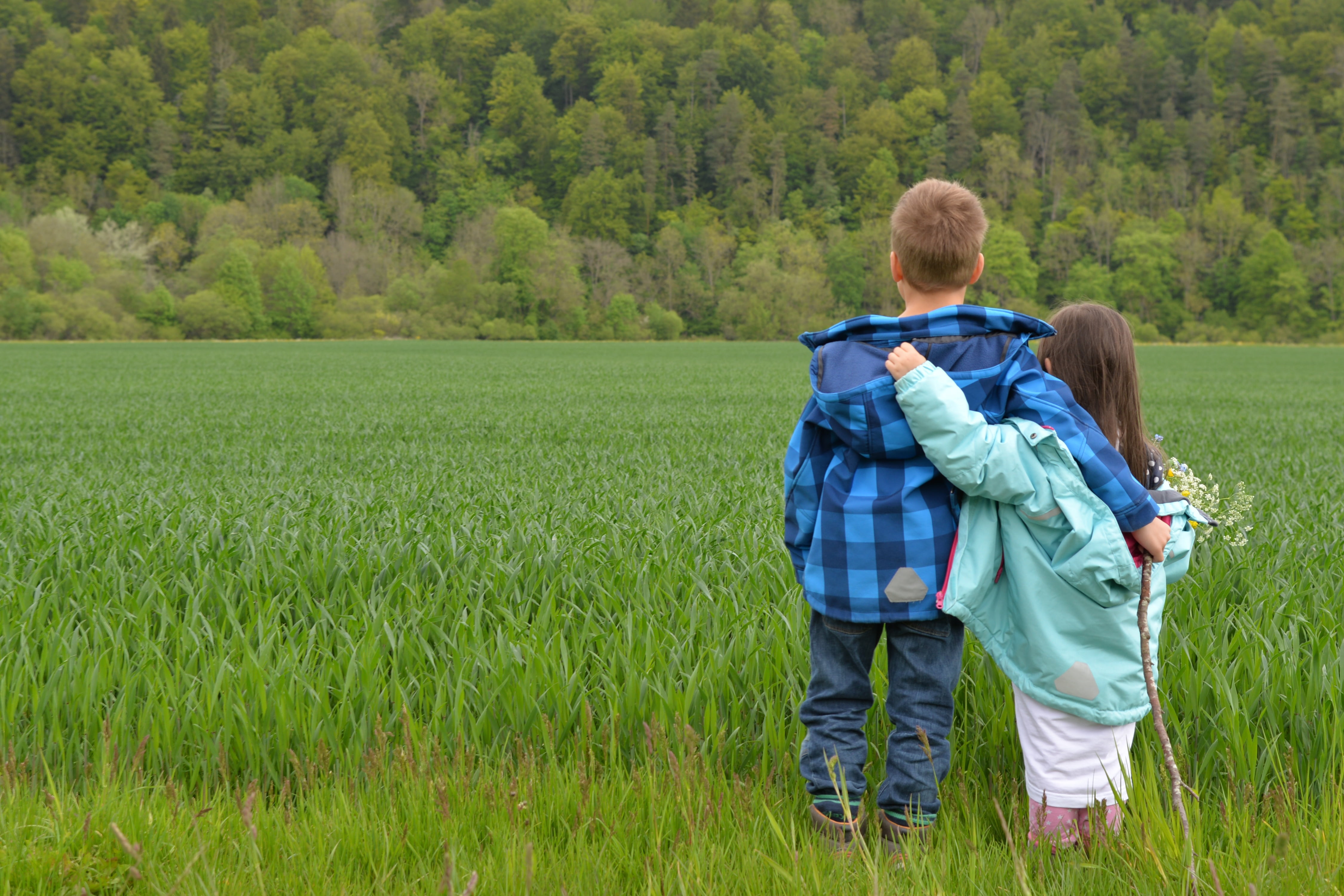 field, day, meadow, two people, boys, joy, affection, best, hand, community, rear view, casual clothing, blue, positive emotion, young, offspring, boy, HD Wallpaper