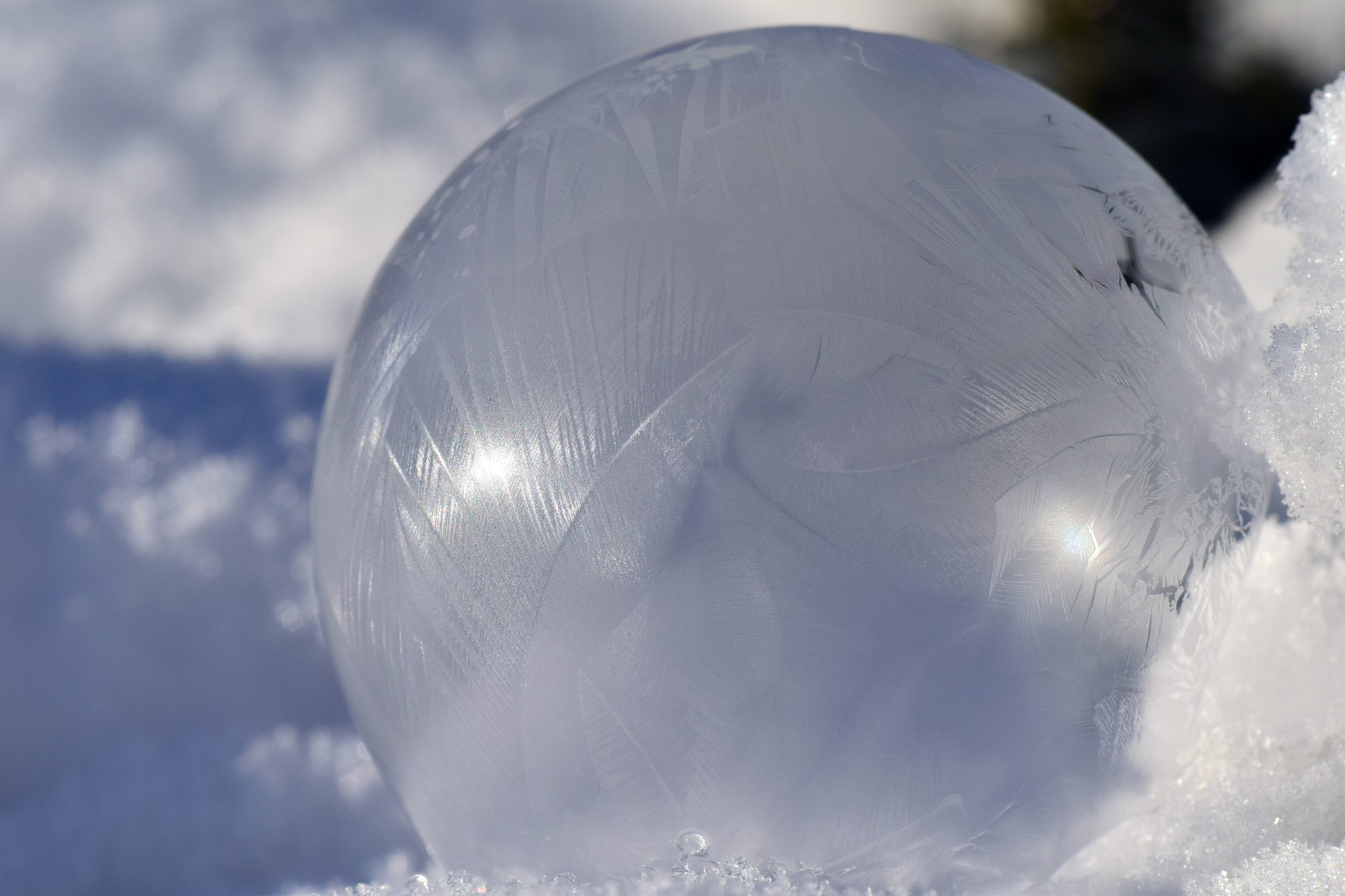 winter, silver colored, animal, outdoors, transparent, sphere, ice, reflection, toy, christmas, photo, nature, tender, beautiful, design, close-up, bubble, HD Wallpaper