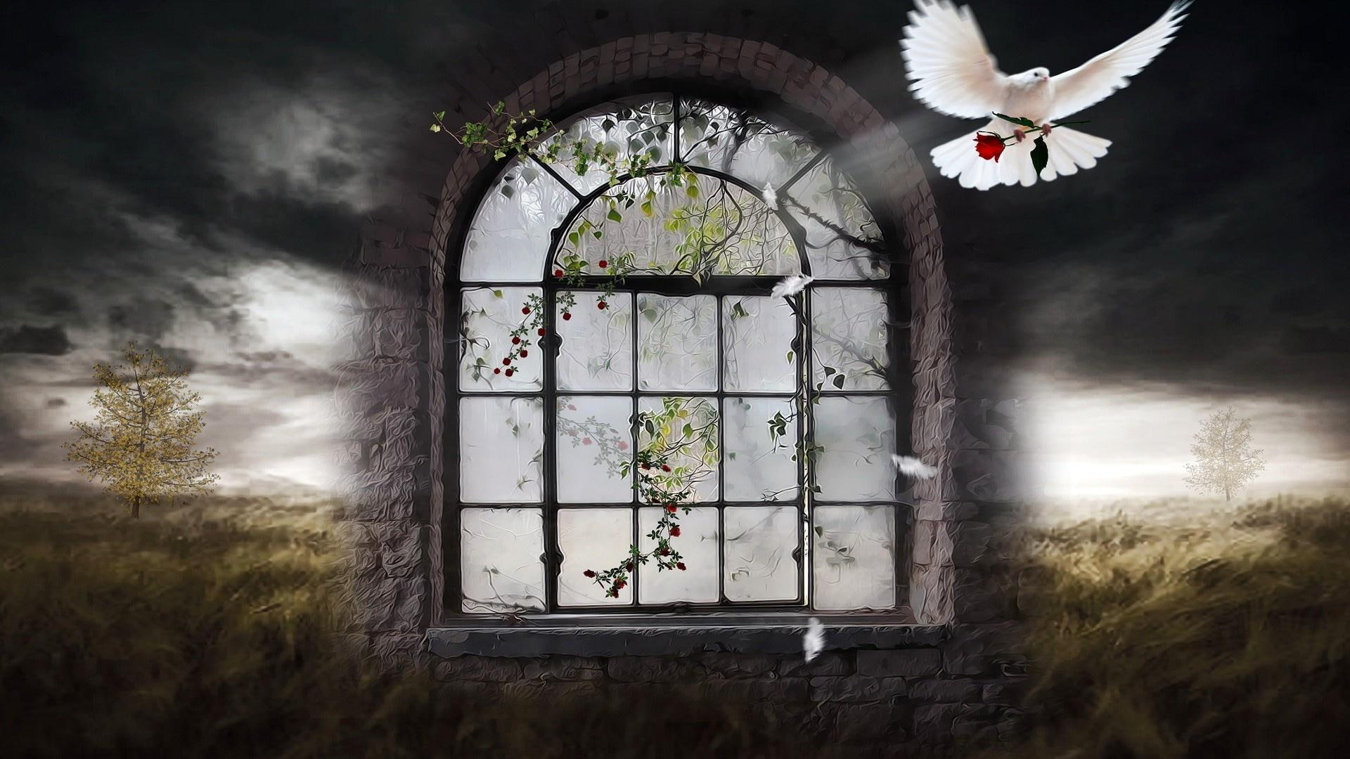 nature, nature and landscapes, windows, portal, peace, doves, 1080P, HD Wallpaper