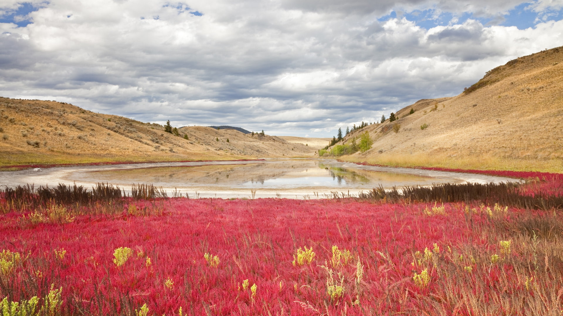 park, columbia, grasslands, art, Field, Canada, lac, 1080P, British Columbia, fields, nature, hd, du, Lac Du Bois Grasslands Park, bois, british, HD Wallpaper
