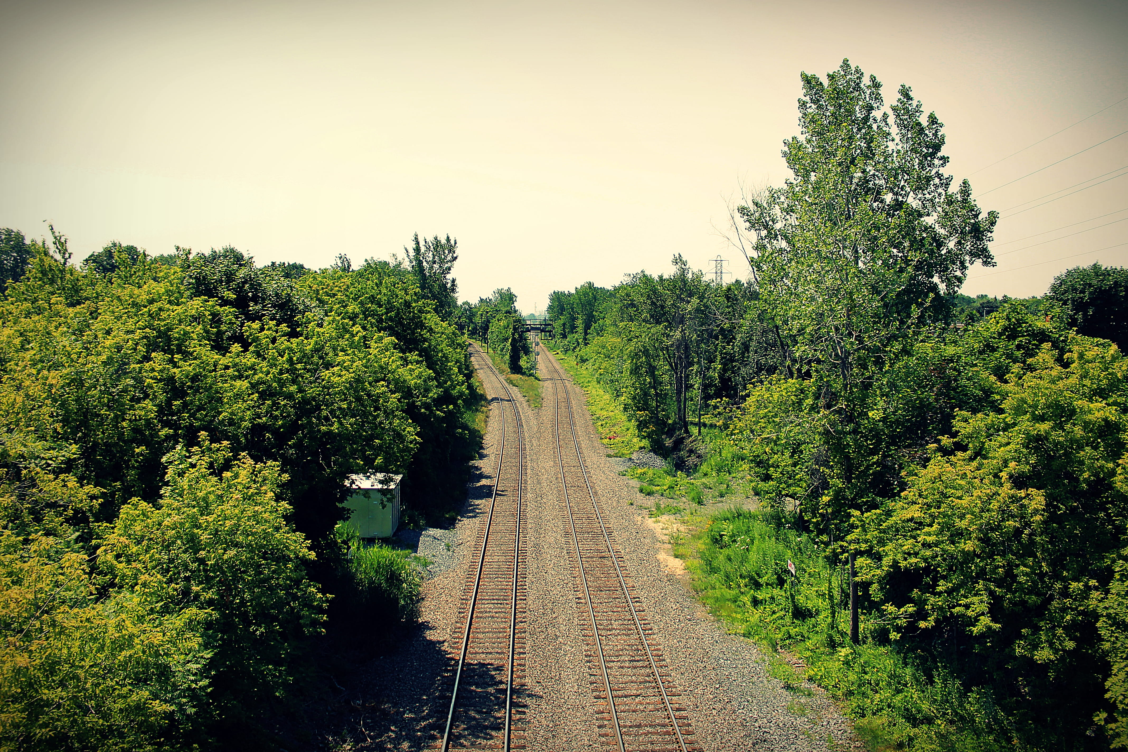 trees, the way forward, tranquil scene, sky, nature, diminishing perspective, train tracks, no people, beauty in nature, tree, direction, land, clear sky, HD Wallpaper