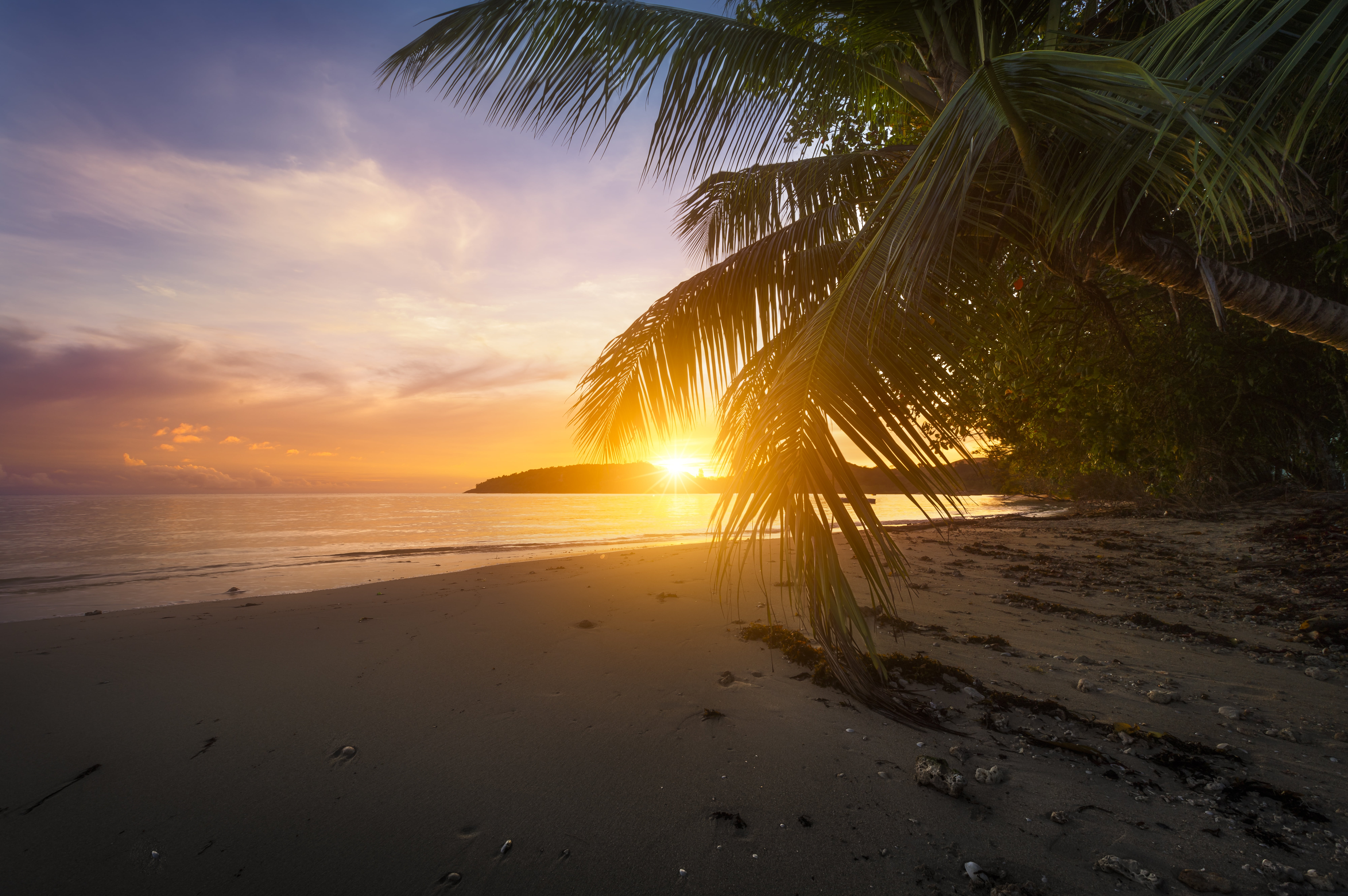 no people, scenics - nature, outdoors, water, Seychelles, palm tree, tree, nature, sky, coconut, tranquil scene, sand, 8K, tropical climate, horizon over water, HD Wallpaper