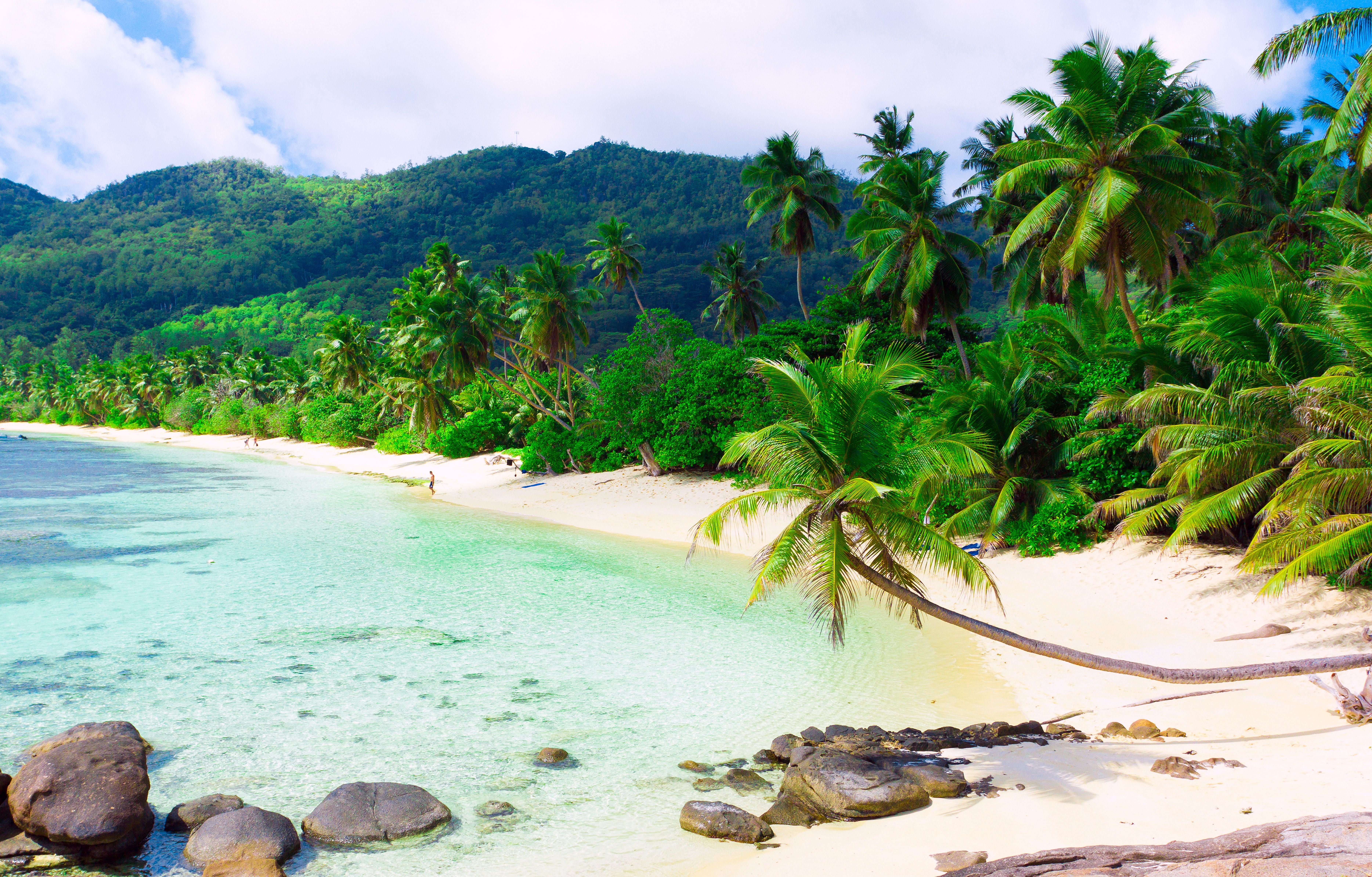Island, tree, tourist Resort, day, relaxation, sea, palm Tree, tourism, mahe Island, turquoise Colored, nature, travel, 5K, beauty In Nature, sand, waters Edge, HD Wallpaper
