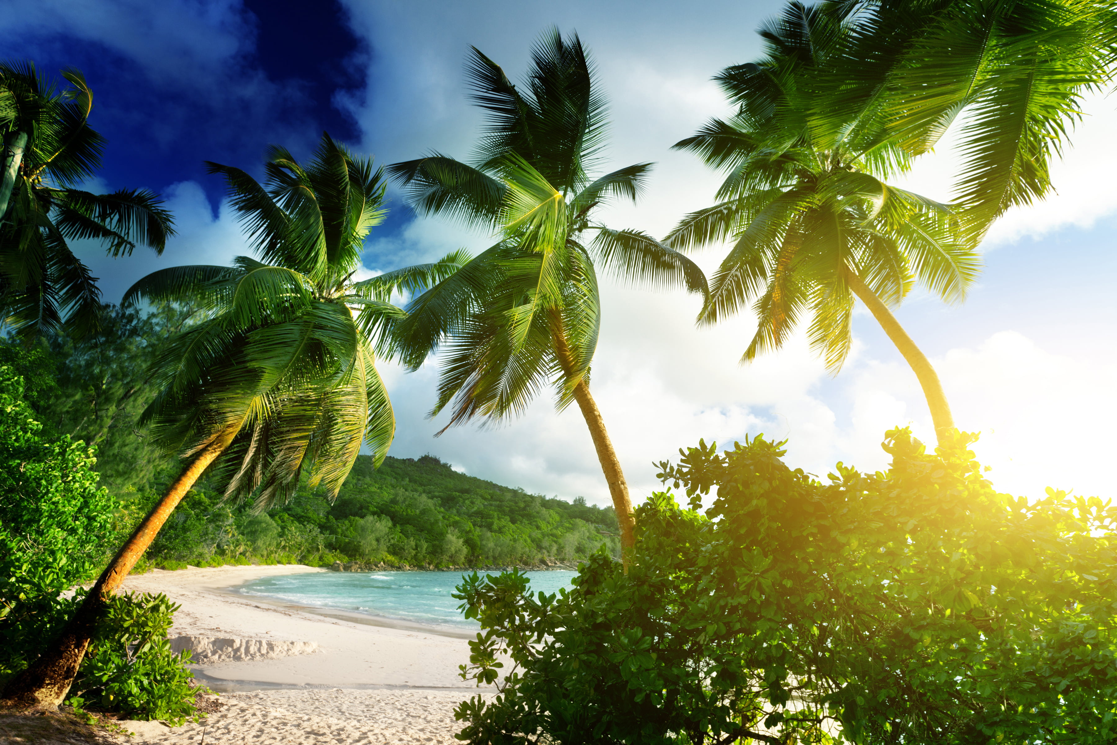 island, ocean, beauty In Nature, seascape, palm Tree, cloud - Sky, sky, tropical tree, tourist Resort, relaxation, sunshine, sunny, tranquility, 2K, sea, HD Wallpaper
