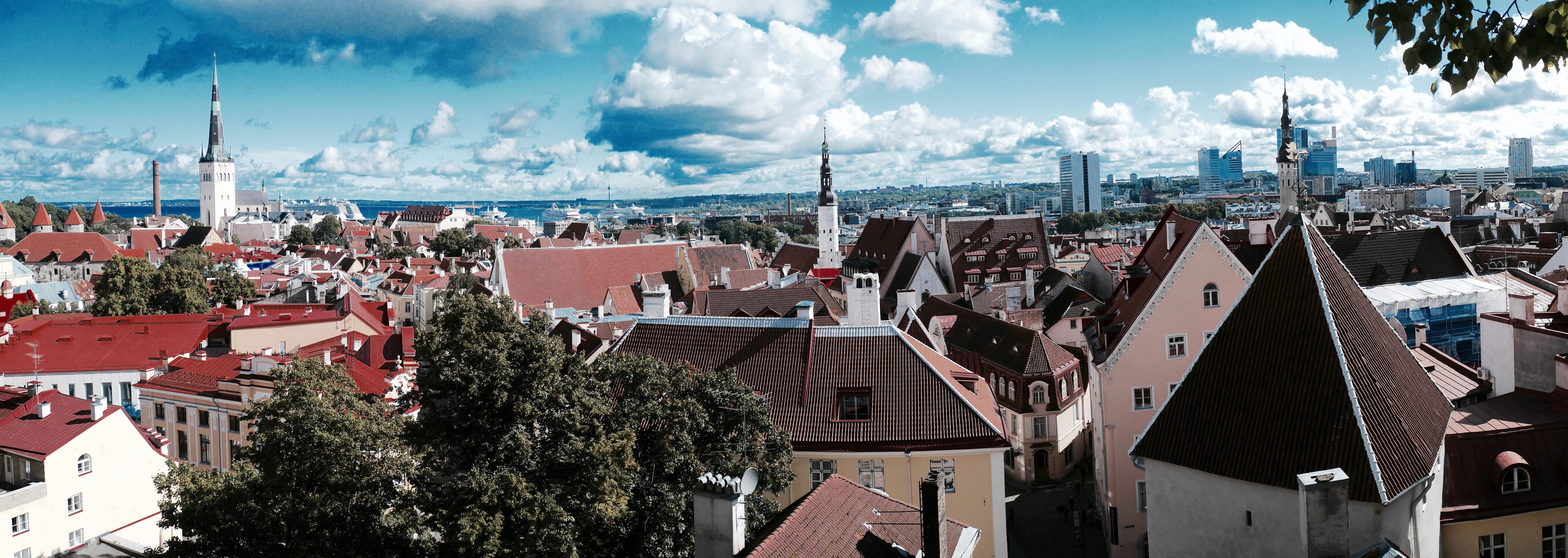 Tallinn, day, house, homes, panoramic, townscape, nature, cloud - sky, outdoors, tree, color, 5K, plant, roof, architecture, nautical vessel, Panorama, HD Wallpaper