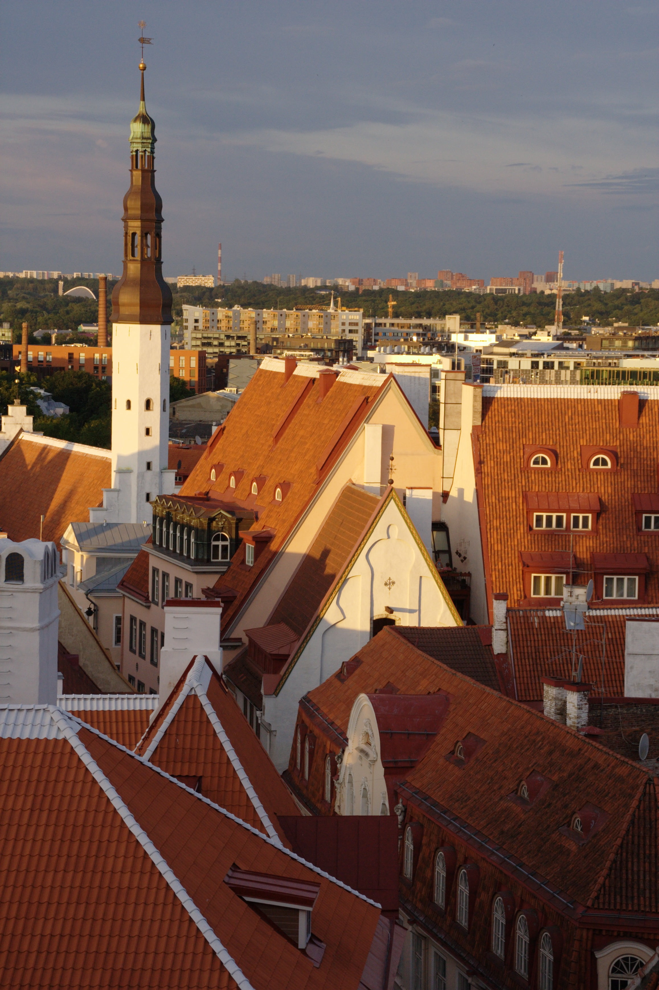 estonia, urban Scene, belief, city, nature, old town, cityscape, residential district, tallinn, town, building, history, church, building exterior, sky, Phone HD Wallpaper