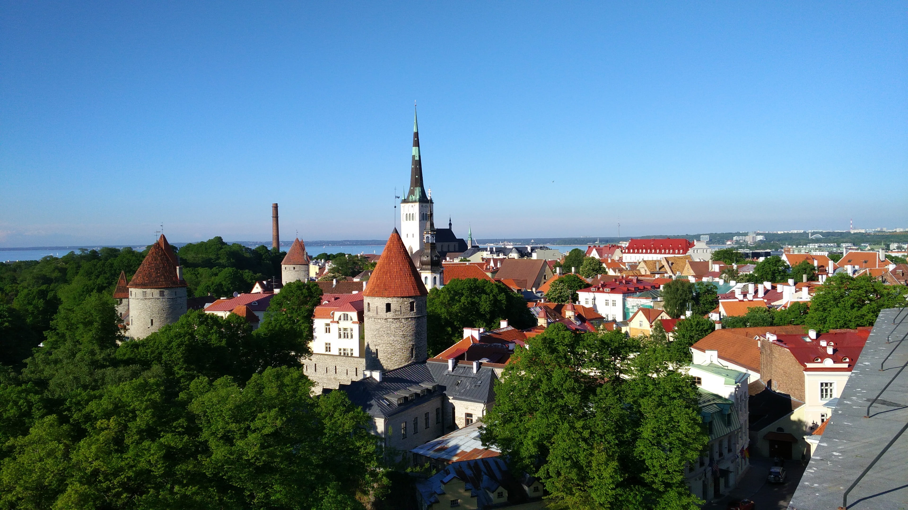 4K, plant, high angle view, tallinn, built structure, architecture, residential district, middle ages, cityscape, estonia, day, nature, historic center, HD Wallpaper
