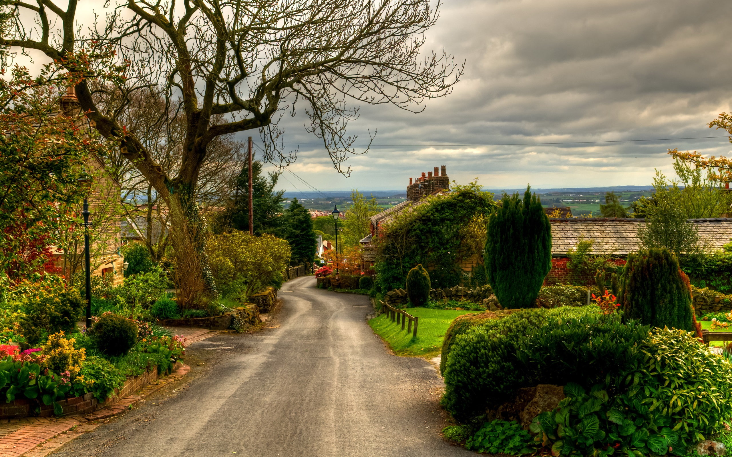 field, Trees, covered, Horwich, 2K, Road, Town, grass, England, Houses, HD Wallpaper