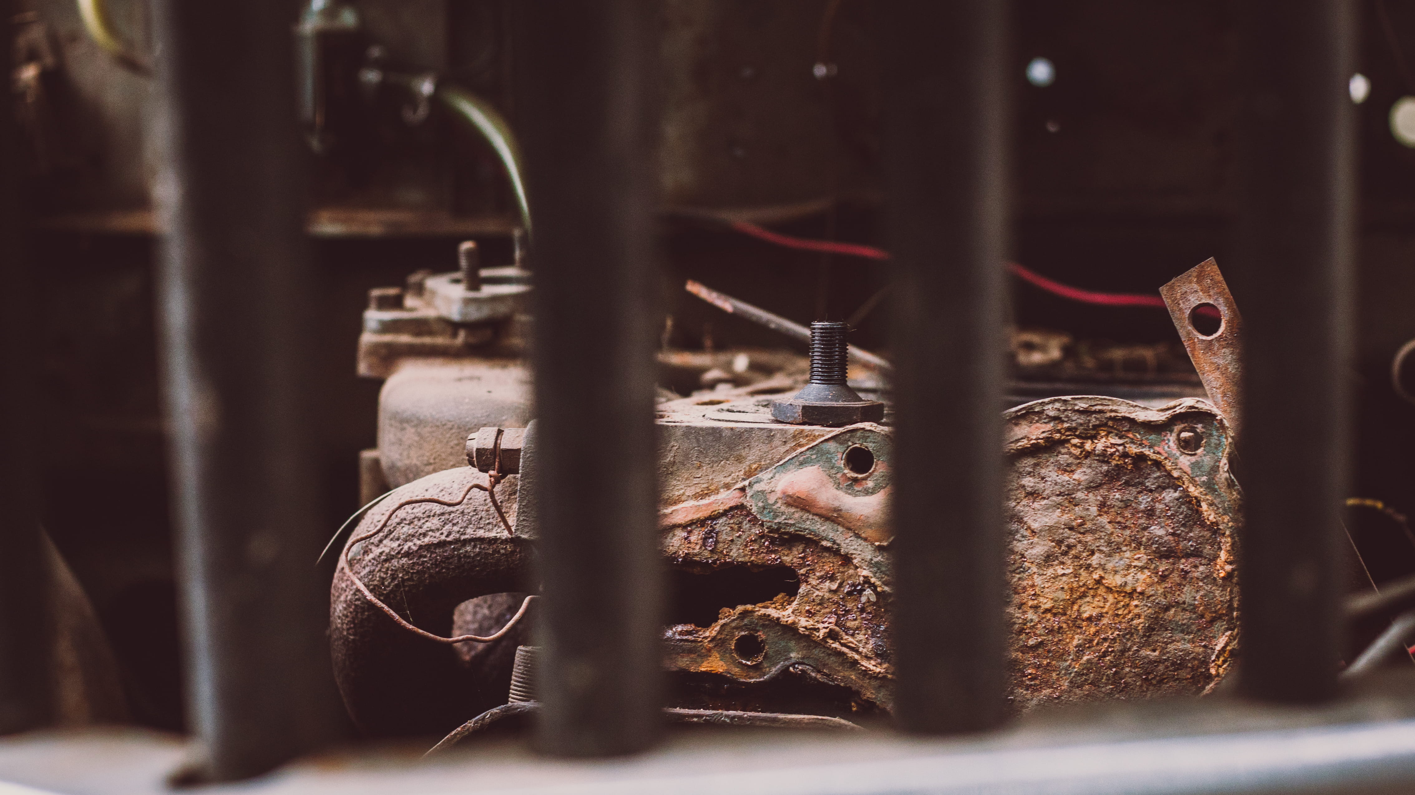 old, engine, vertebrate, one animal, animal, steel, dusty, metal, animal wildlife, day, dust, food and drink, close-up, animal themes, wood - material, HD Wallpaper