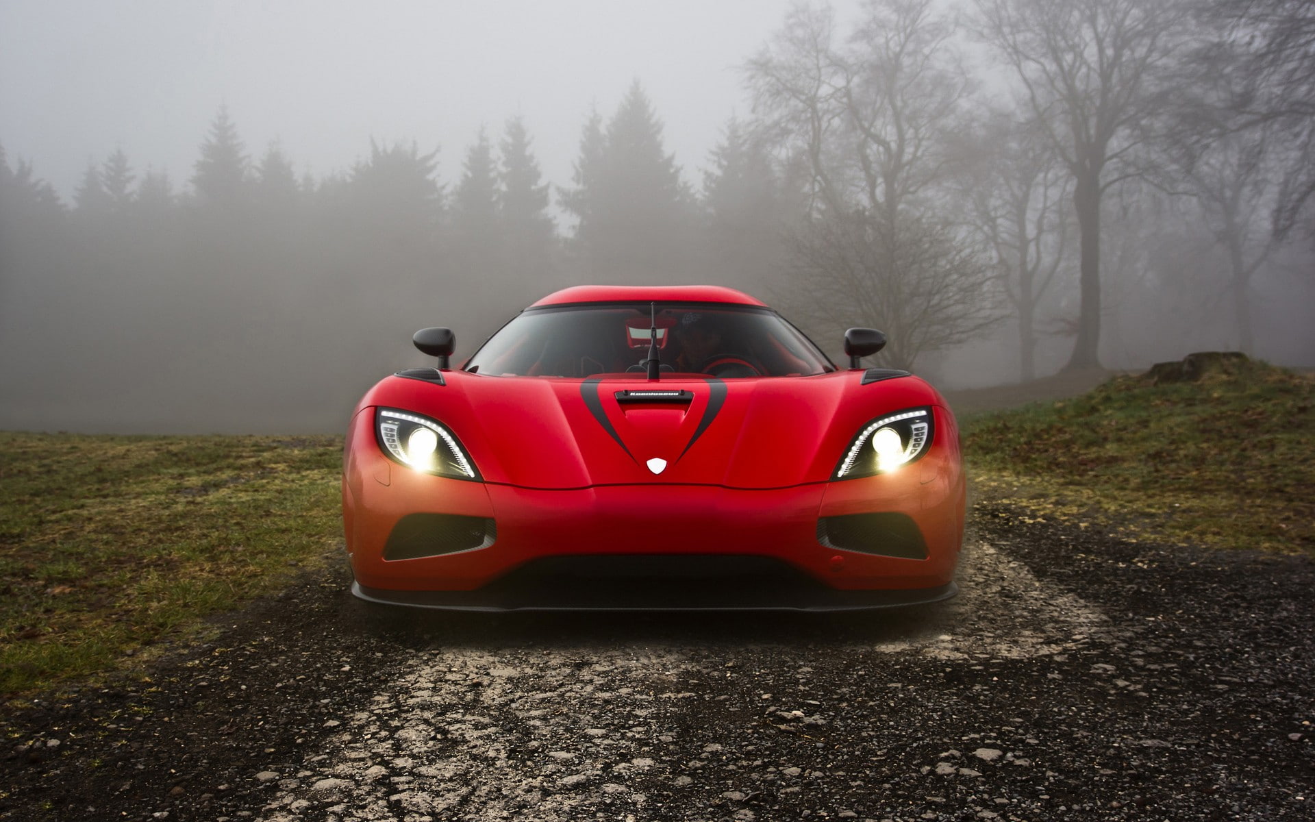 1080P, cars, Koenigsegg, day, car, travel, Lights, outdoors, red, transportation, fog, motor vehicle, mode of transportation, field, nature, isolated color, HD Wallpaper