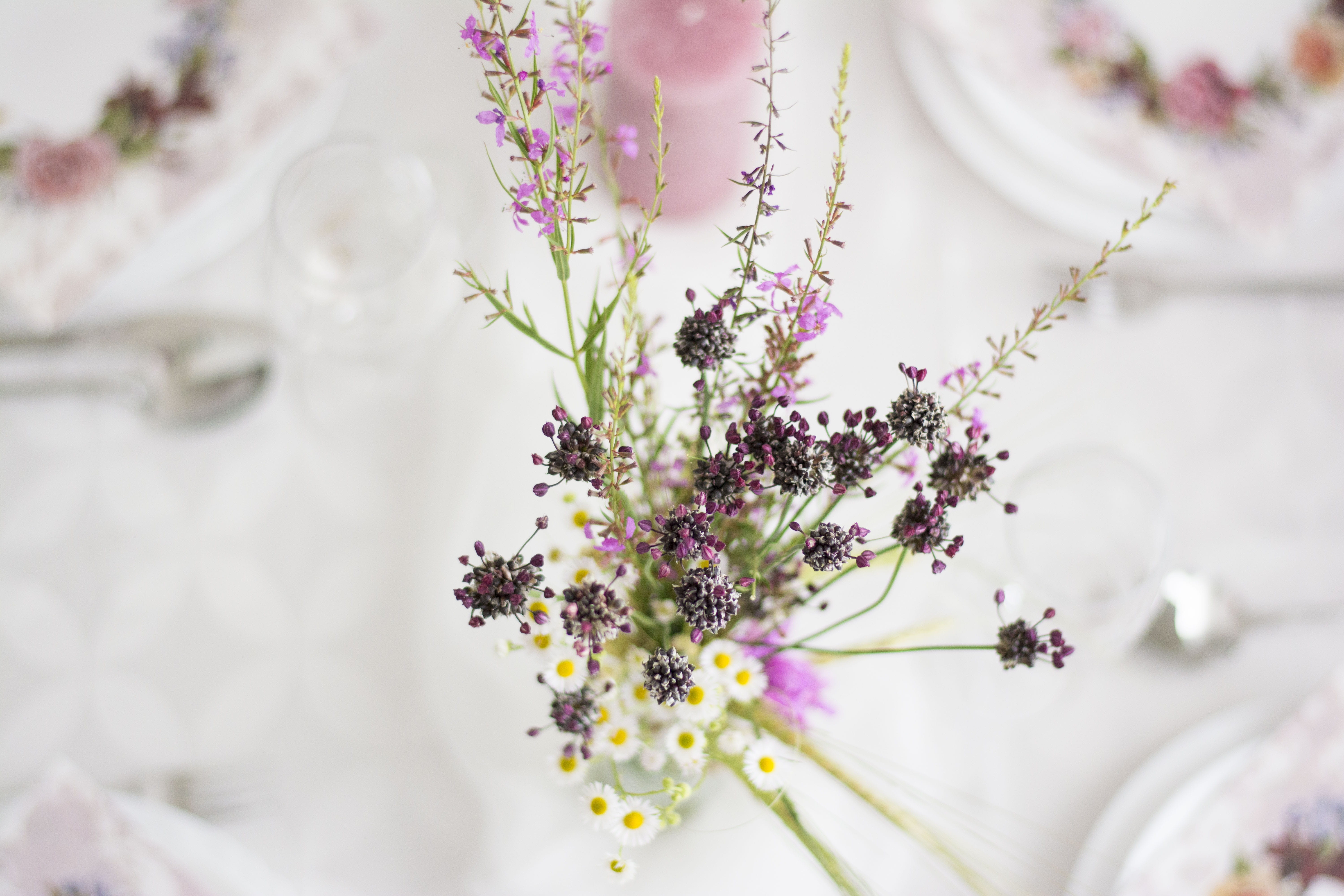 fragility, close-up, white color, selective focus, romantic, flower arrangement, inflorescence, bouquet, purple, love, freshness, flower, no people, floral, HD Wallpaper