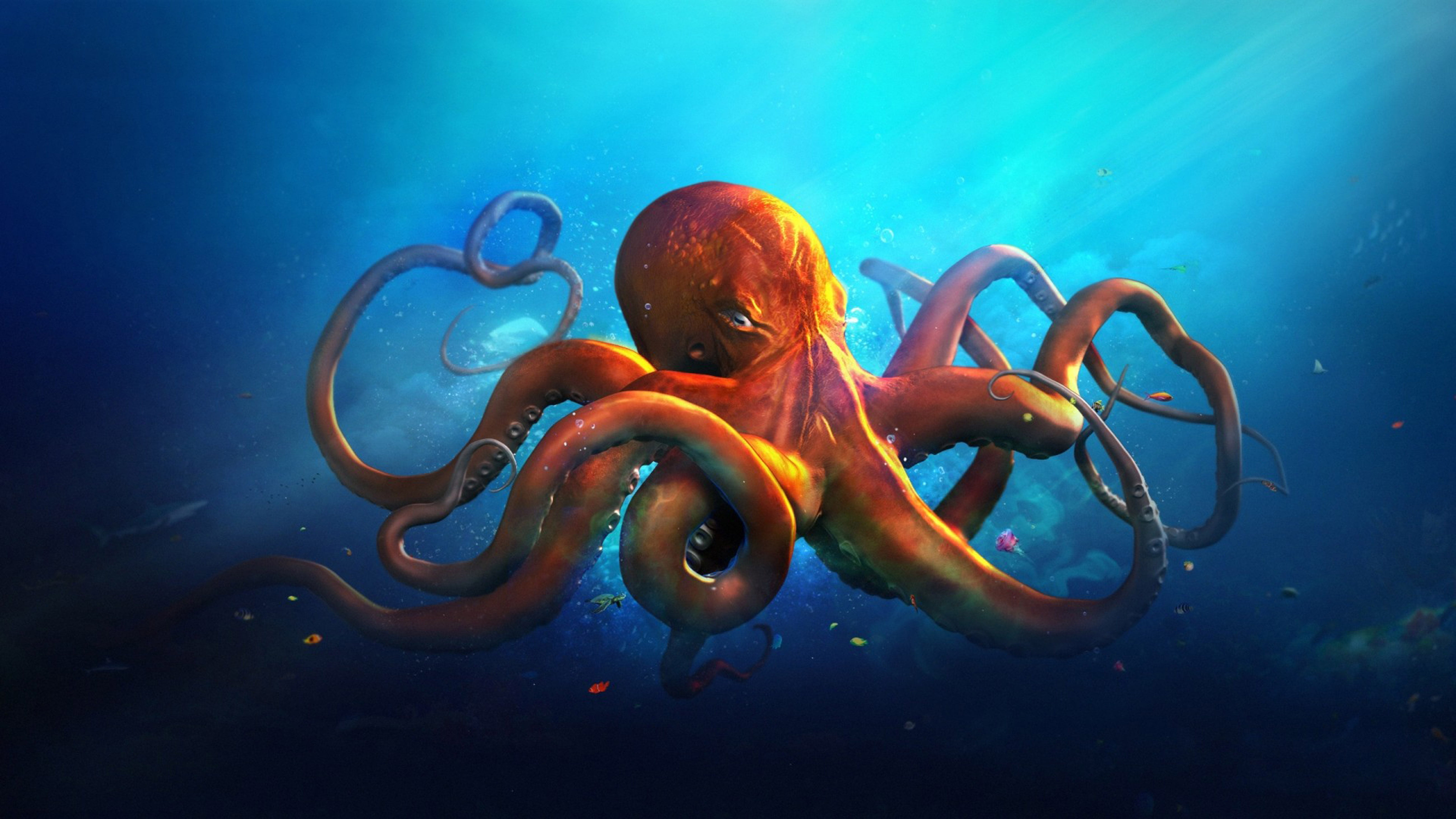 animal wildlife, 5K, nature, sport, adventure, animals in the wild, octopus, undersea, marine, aquatic sport, swimming, invertebrate, sea, water, HD Wallpaper