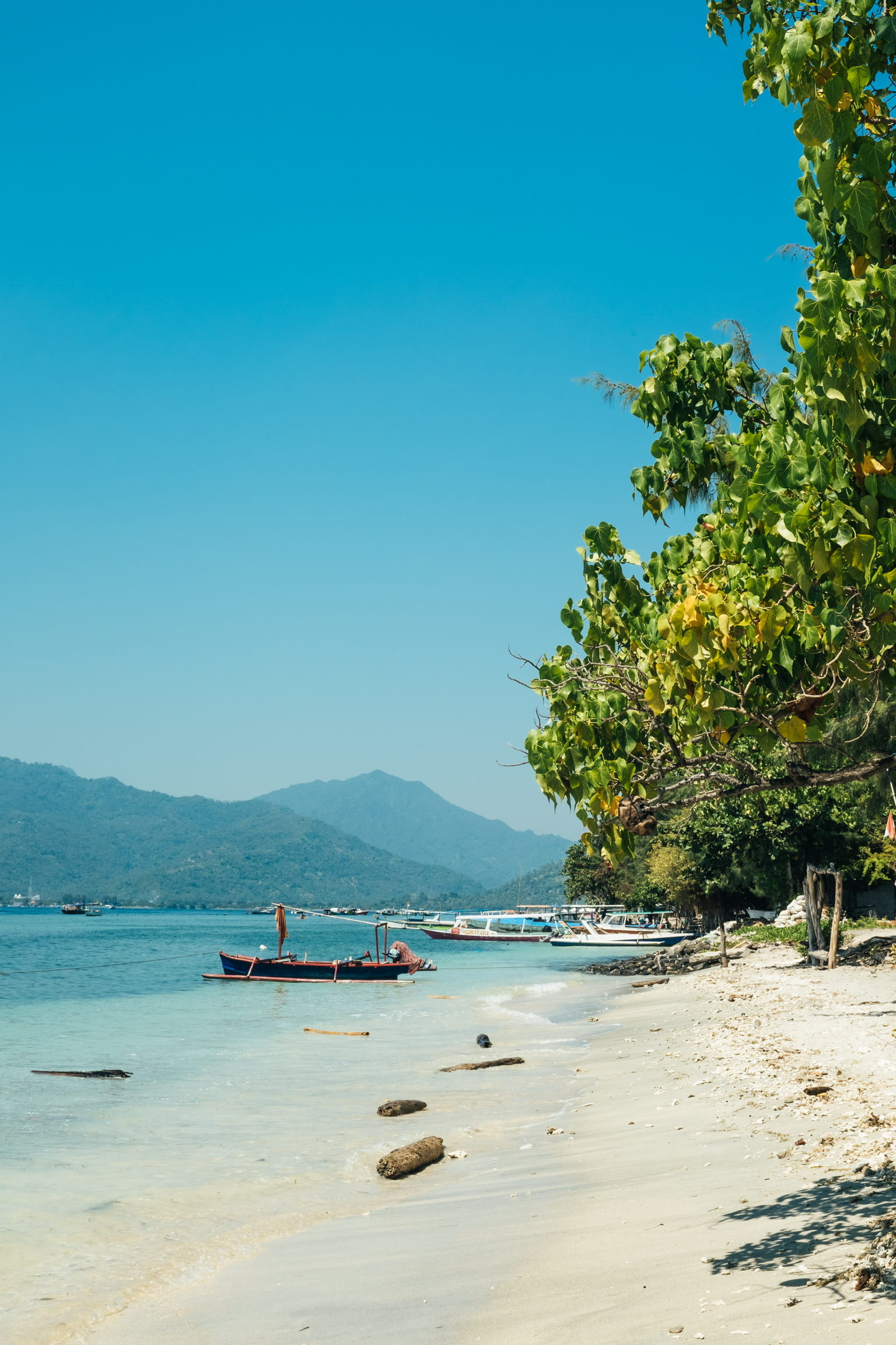 gili, 1080P, sun, nautical vessel, tree, day, tropical, clear sky, lombok, sand, sky, island, tranquility, land, transportation, scenics - nature, paradise, Phone HD Wallpaper