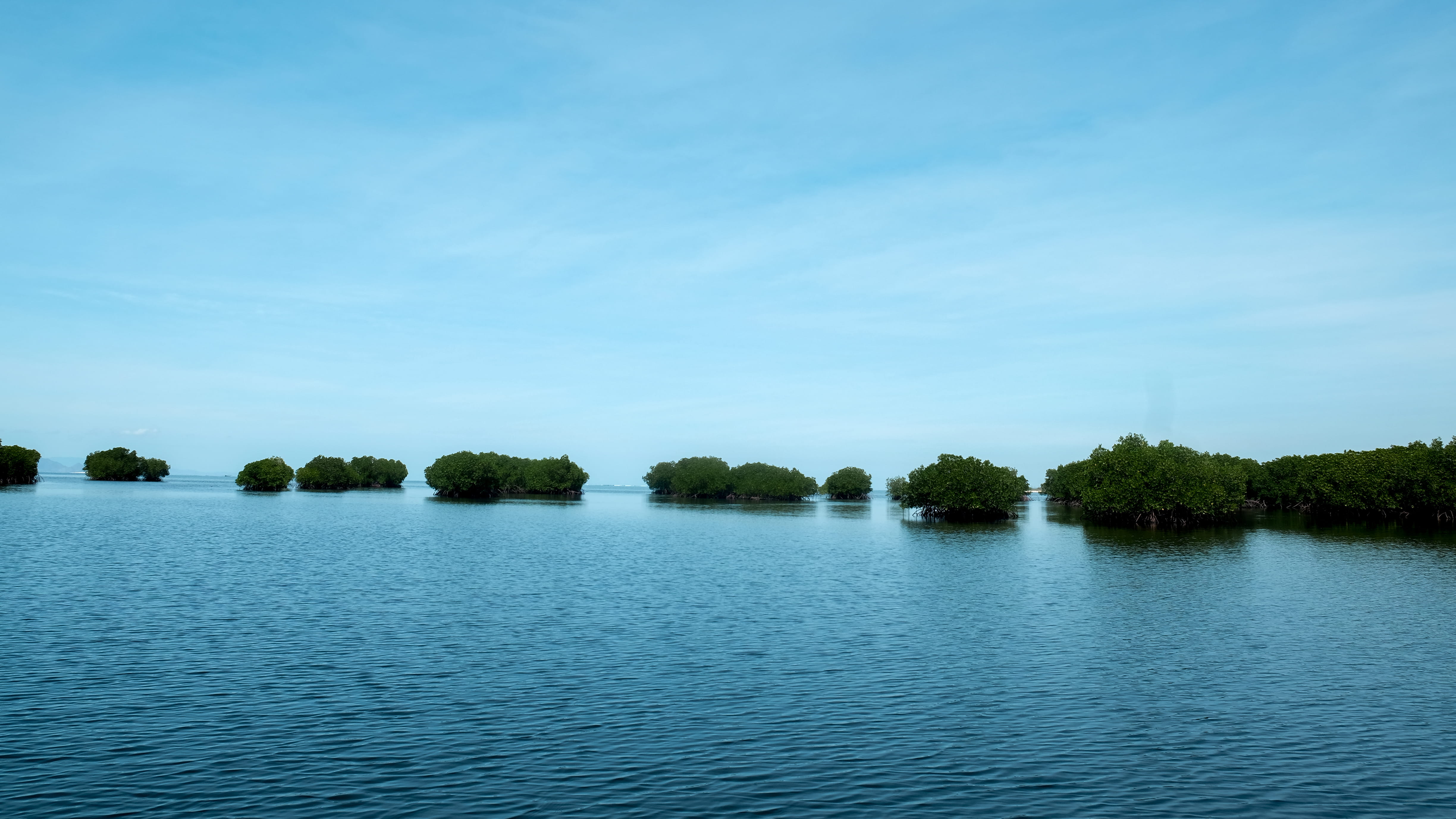 lombok, water, outdoors, nature, waterfront, tranquil scene, non-urban scene, lake, boat, beauty in nature, no people, growth, mangrove, sea, trees, blue, HD Wallpaper