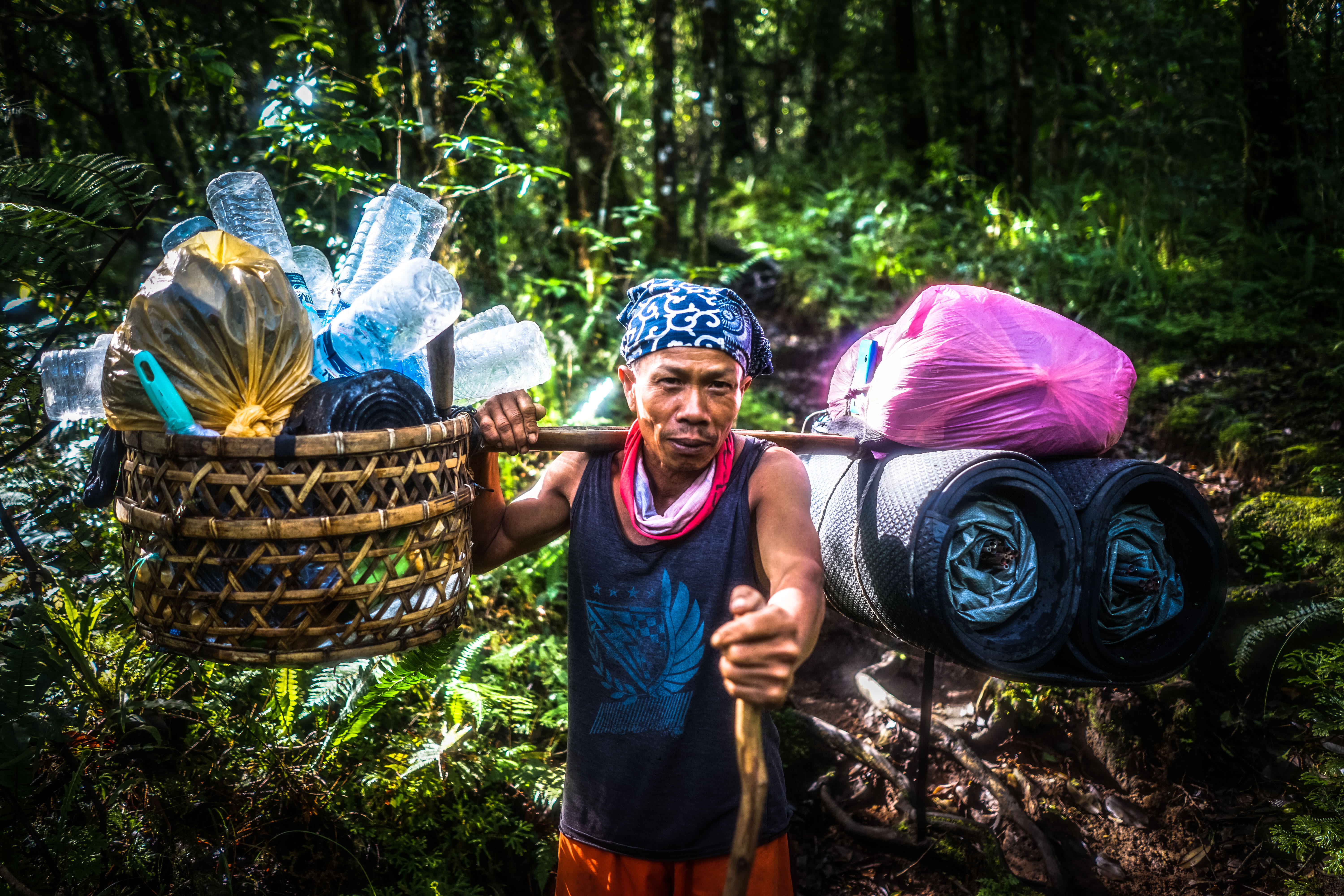 plant, carrying, 5K, men, front view, hiker, outdoors, adult, strength, real people, container, leisure activity, lombok, forest, standing, tree, working, HD Wallpaper