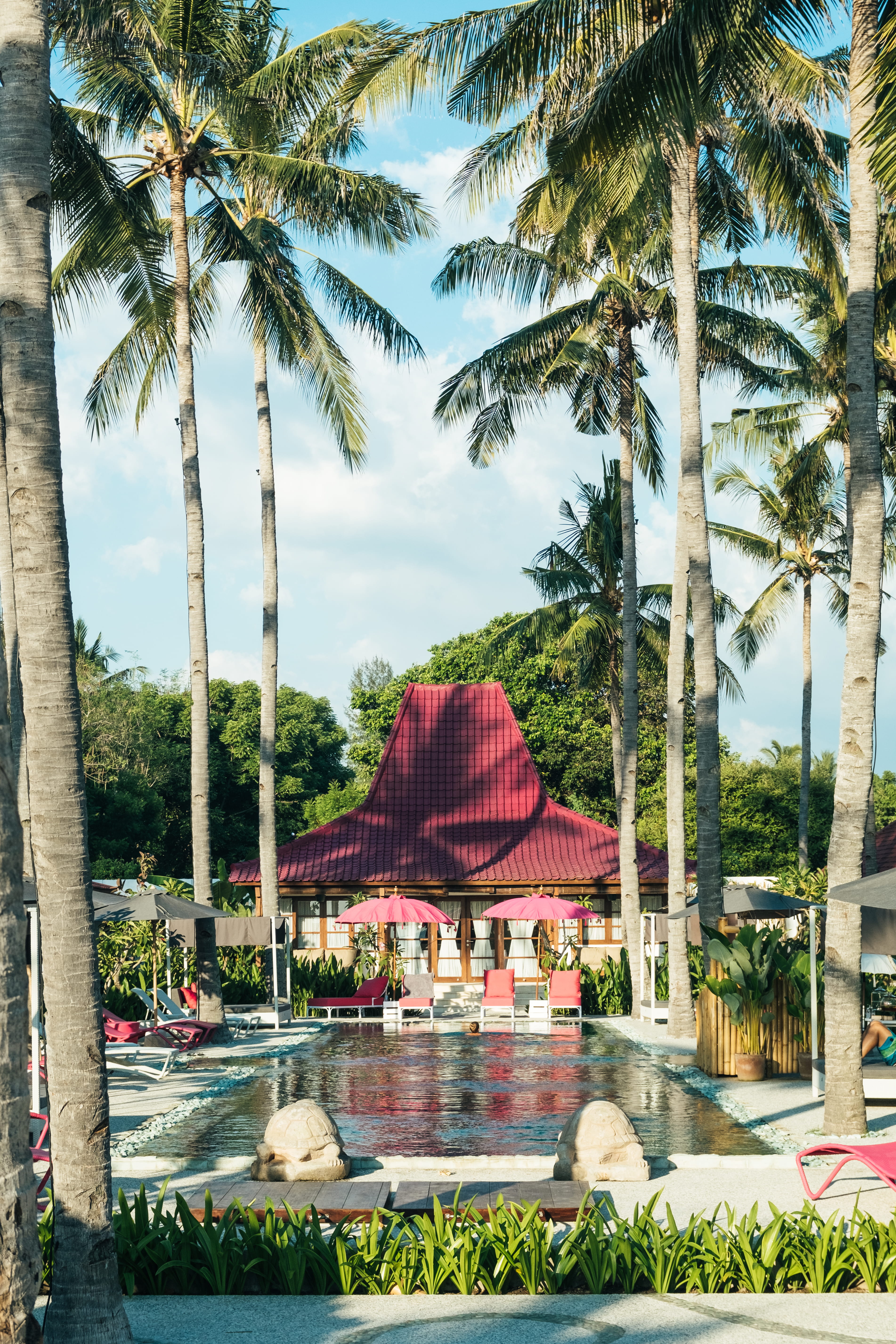 bali, palm tree, spa, sunlight, garden, hotel, water, nature, tropical, gili, ocean, incidental people, beach, background, lombok, chair, tress, 5K, concrete, Phone HD Wallpaper