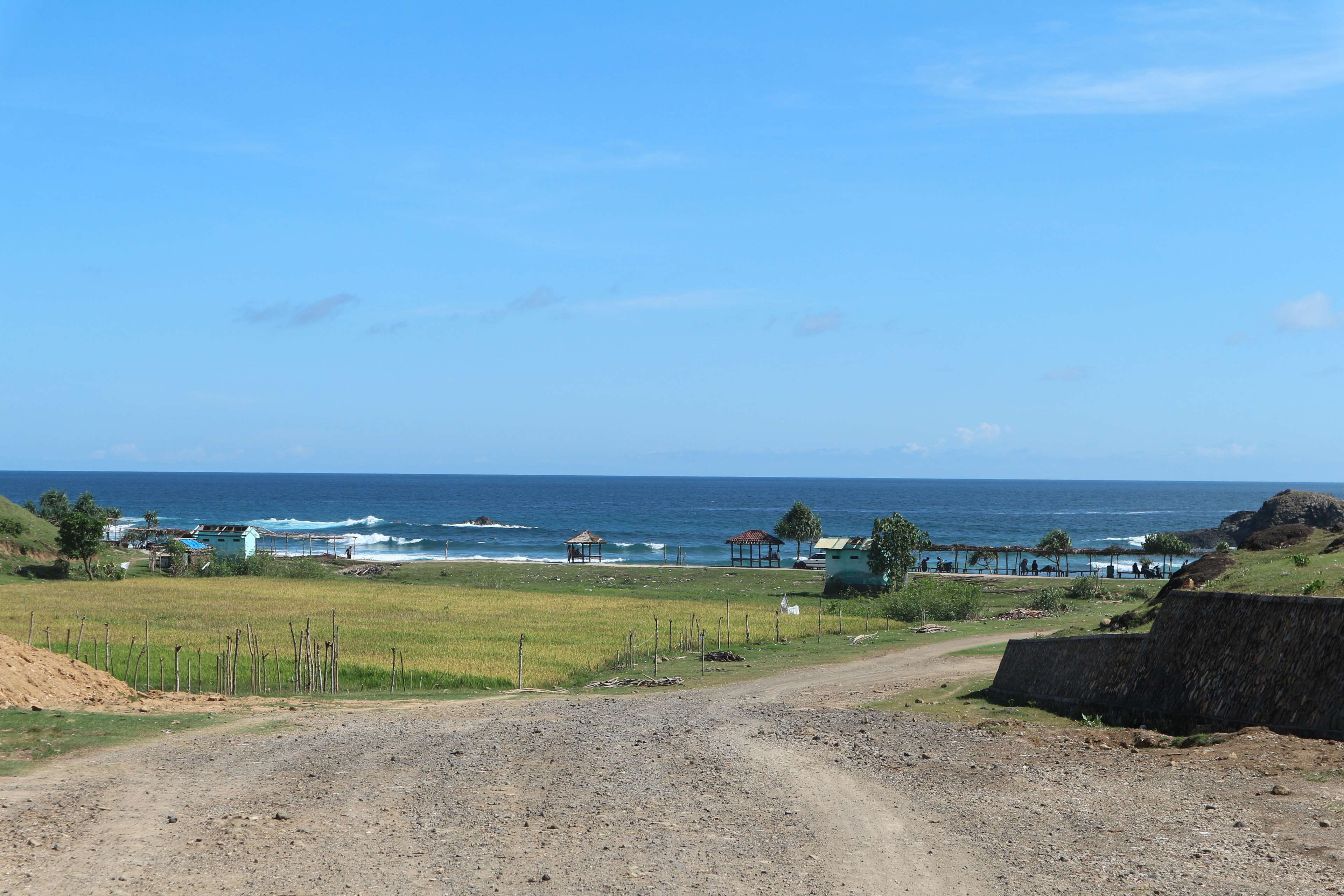 plant, no people, water, sand, environment, rice field, scenics - nature, summer, grass, outdoors, sky, 4K, beach hut, land, trees, nature, horizon, lombok, HD Wallpaper