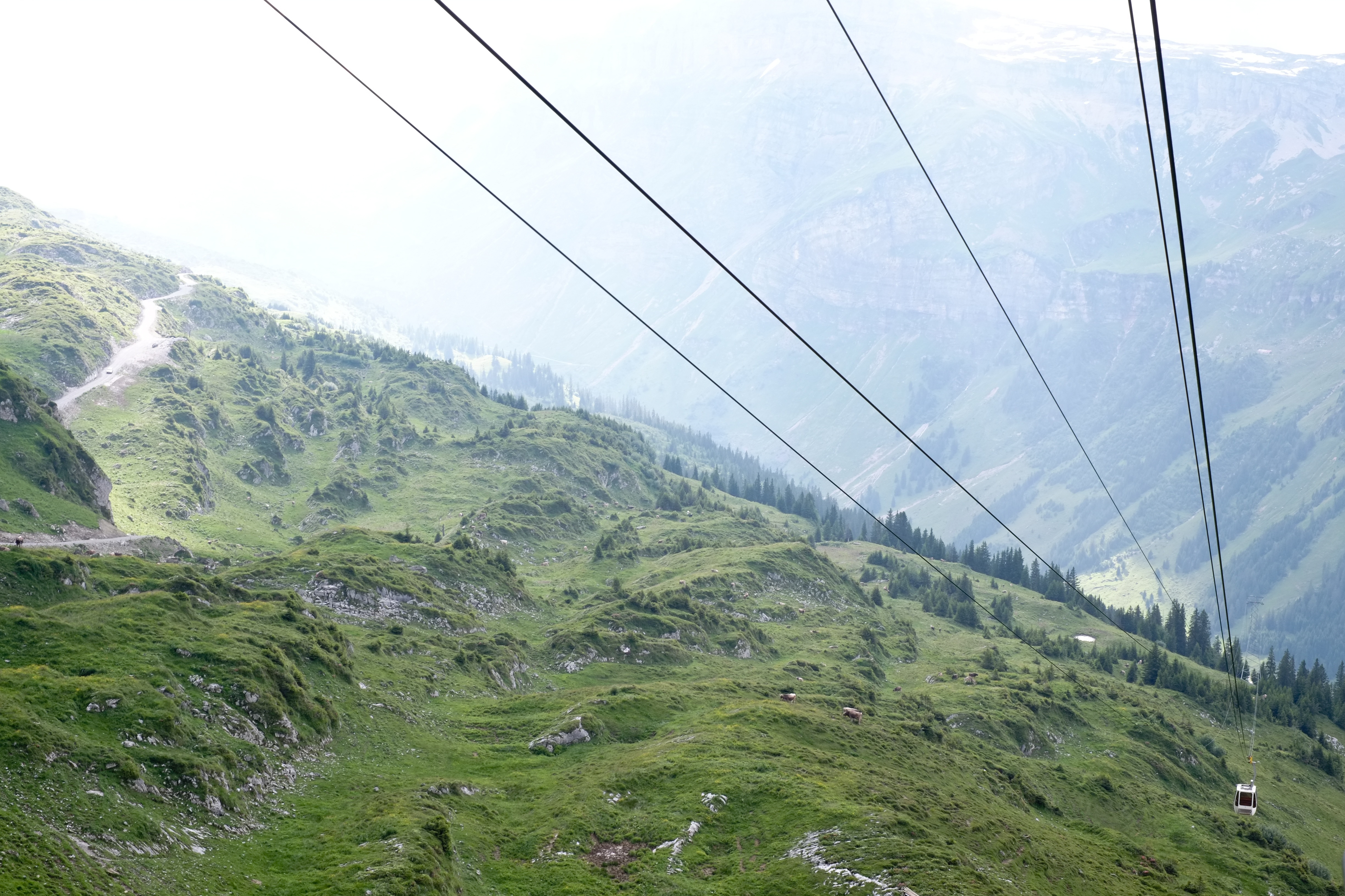 lift, mountain, tourism, beauty in nature, non-urban scene, europe, high, day, scenics - nature, grass, nature, plant, transportation, alps, funicular, HD Wallpaper
