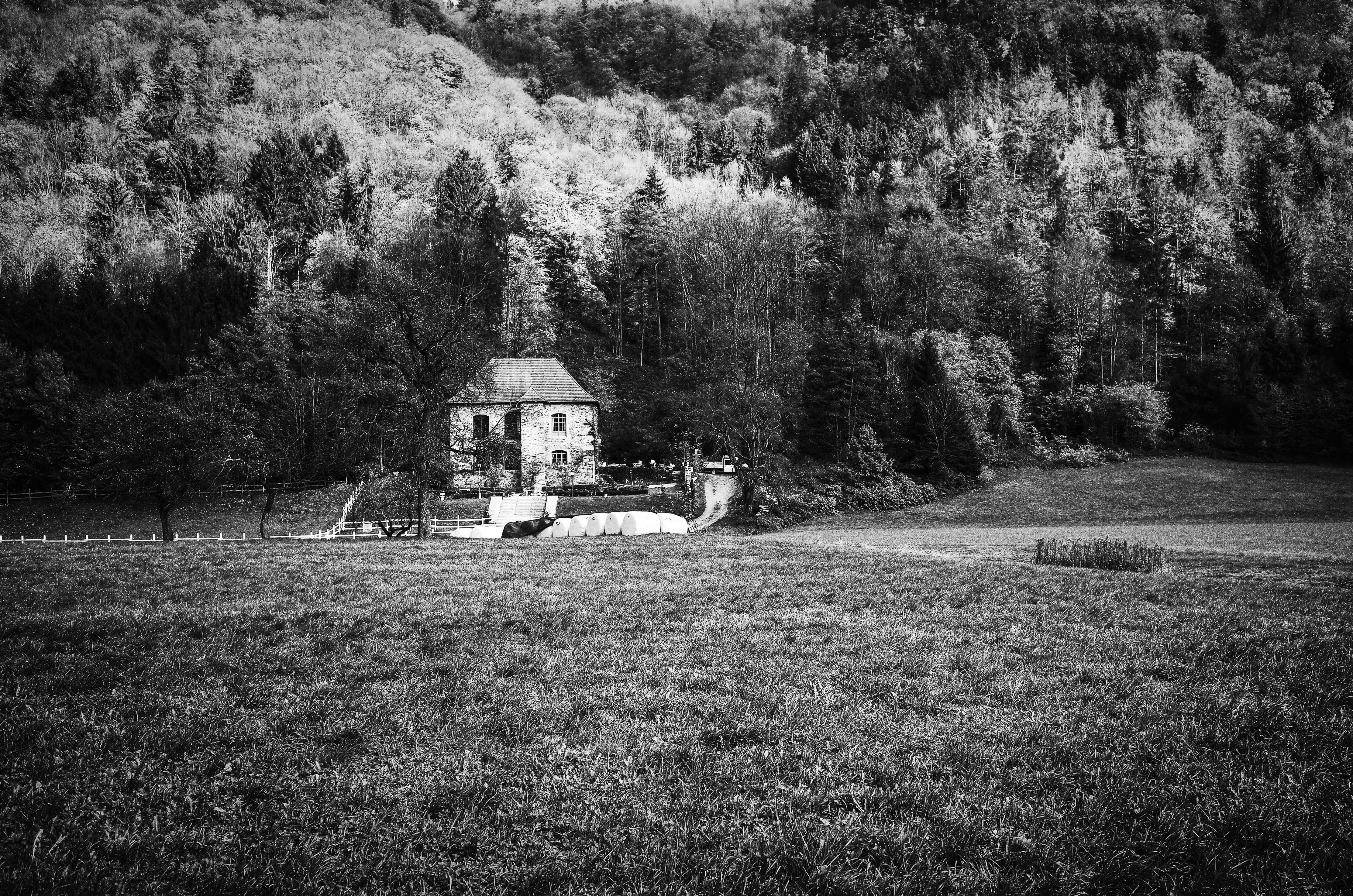 land, no people, architecture, beauty in nature, built structure, tranquil scene, bw, growth, blackandwhite, germany, park - man made space, 4K, park, HD Wallpaper