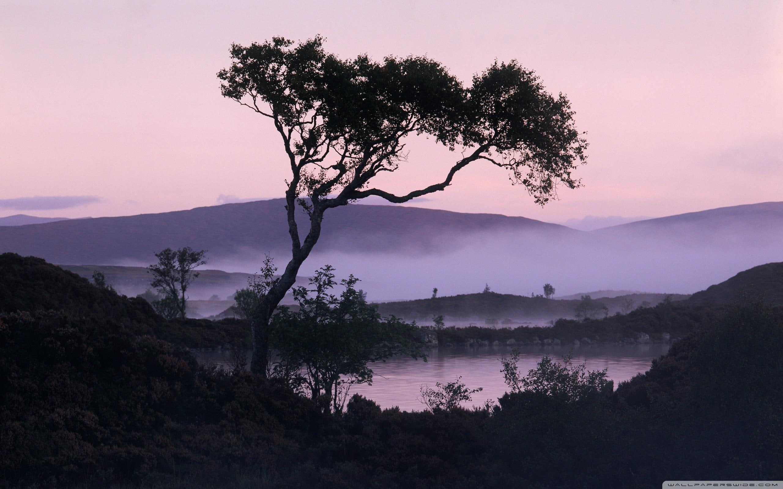 tree, purple, 2K, 3d and abstract, mist, lake, lakeside, HD Wallpaper