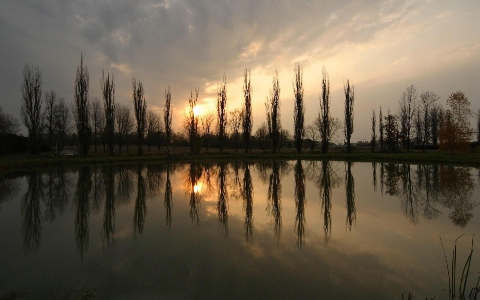 1080P, lake, silhouette, silhouettes, sunset, lakeside, river, tree, 1920x1200, nature, HD Wallpaper