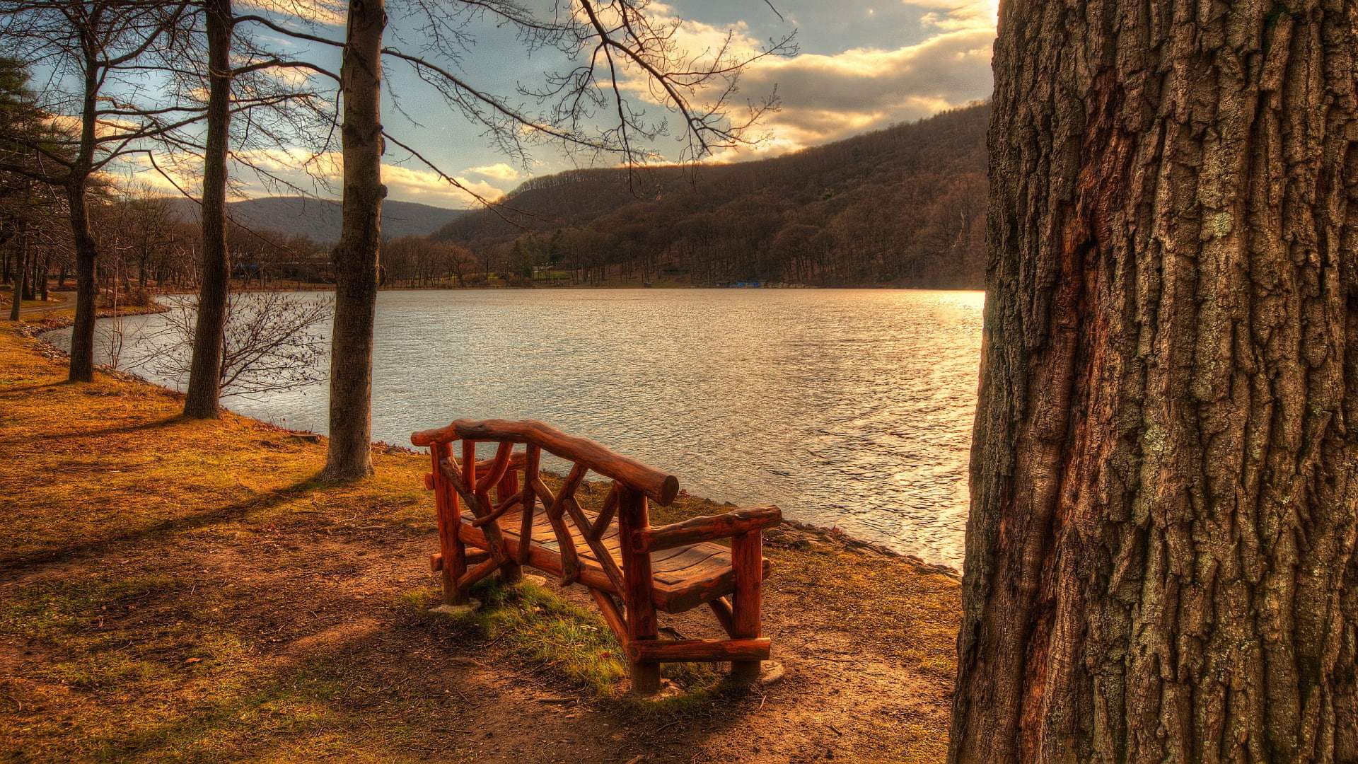 nature, 1080P, lakeside, lake, bench, brown, photography, wooden, HD Wallpaper