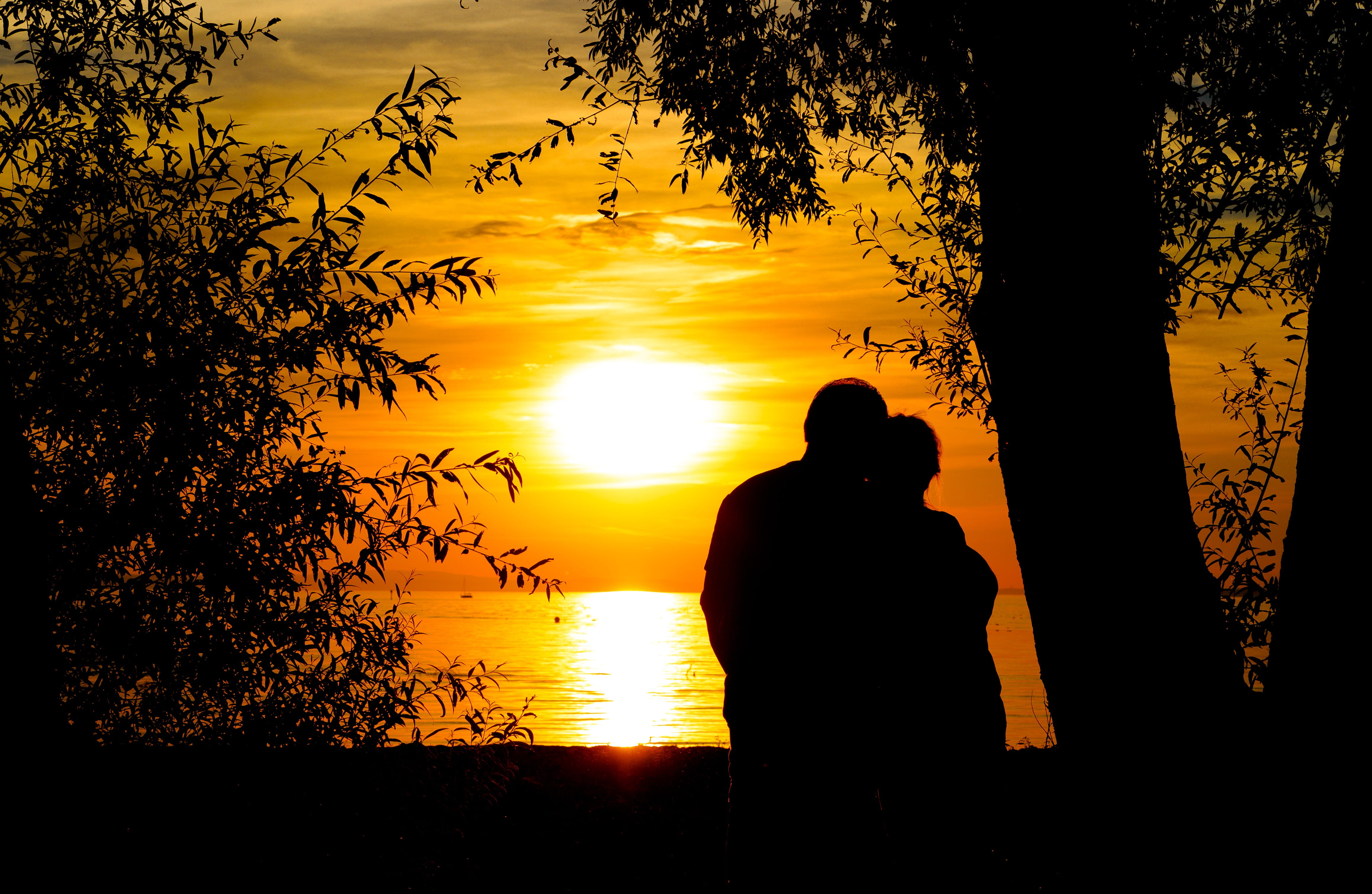 lakeside, tree, tranquility, abendstimmung, lovers, couple - relationship, sky, sunset, sunlight, water, togetherness, nature, lifestyles, beauty in nature, HD Wallpaper