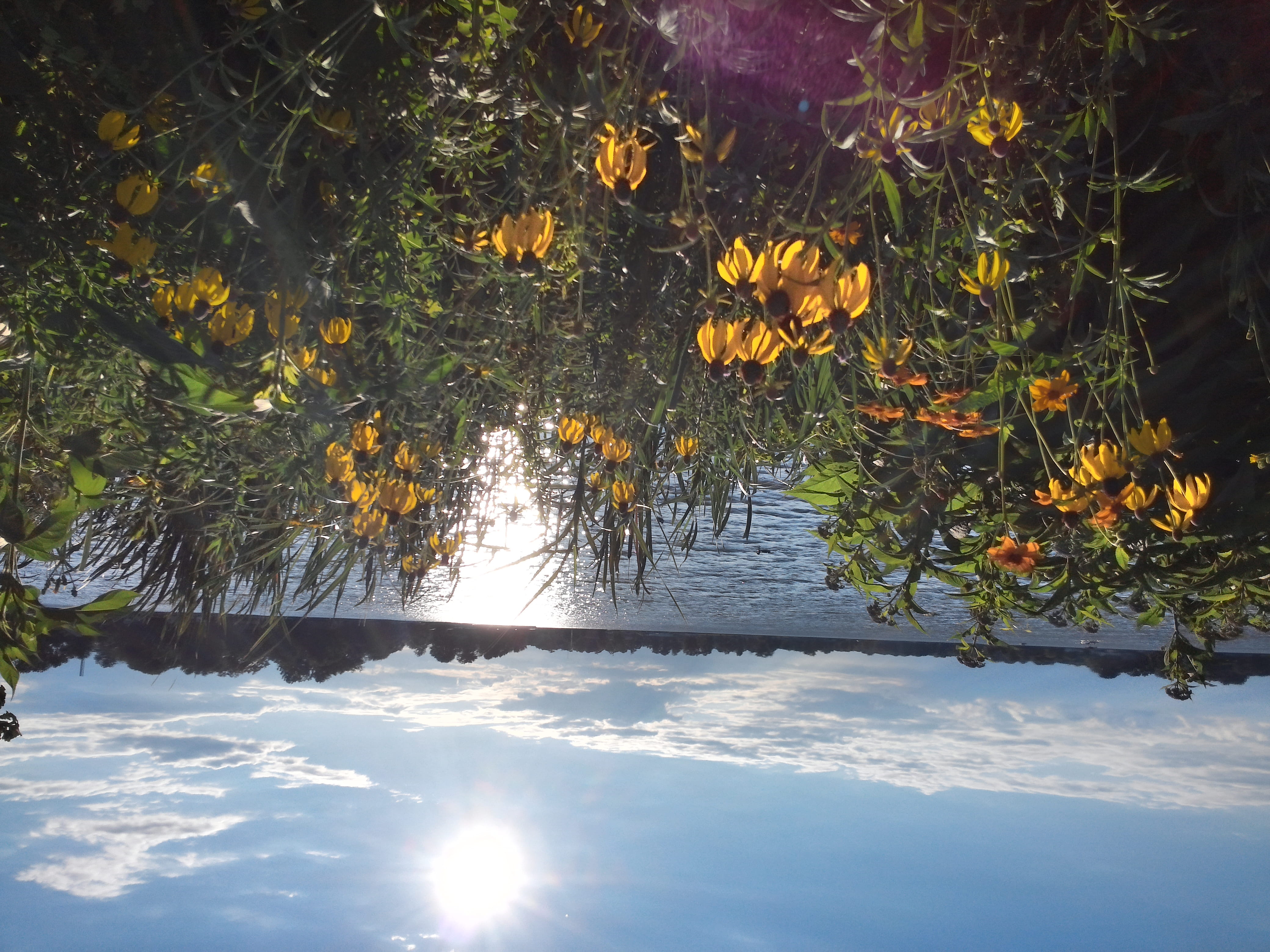 beauty in nature, lake, winter, snow, plant, outdoors, sunlight, nature, cold temperature, reflection, yellow, tree, lakeside, 4K, beautiful, tranquility, HD Wallpaper