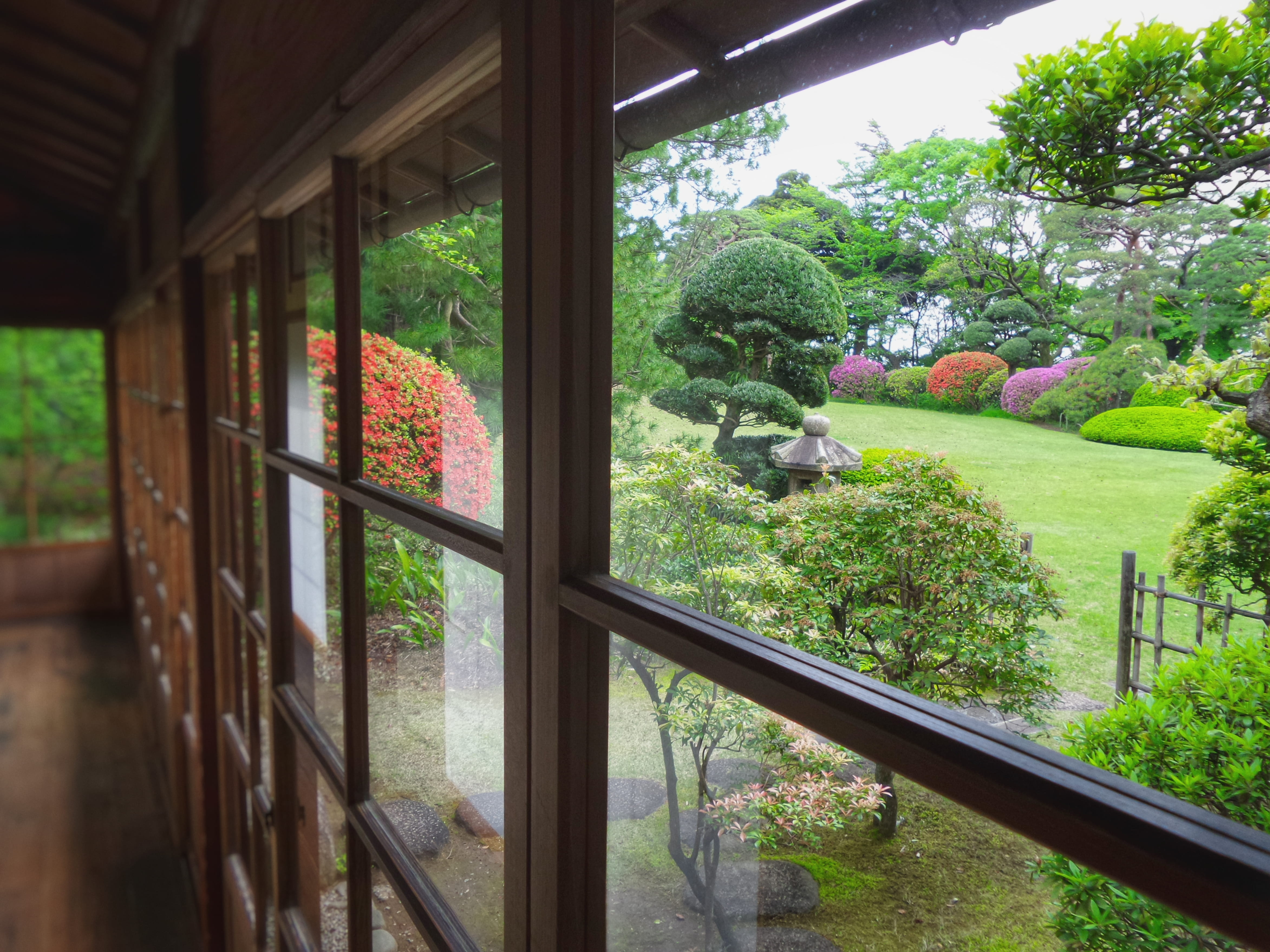window, glass, exterior, flowering plant, indoors, glass - material, architecture, flower, railing, japan, traditional, house, green, no people, green color, HD Wallpaper