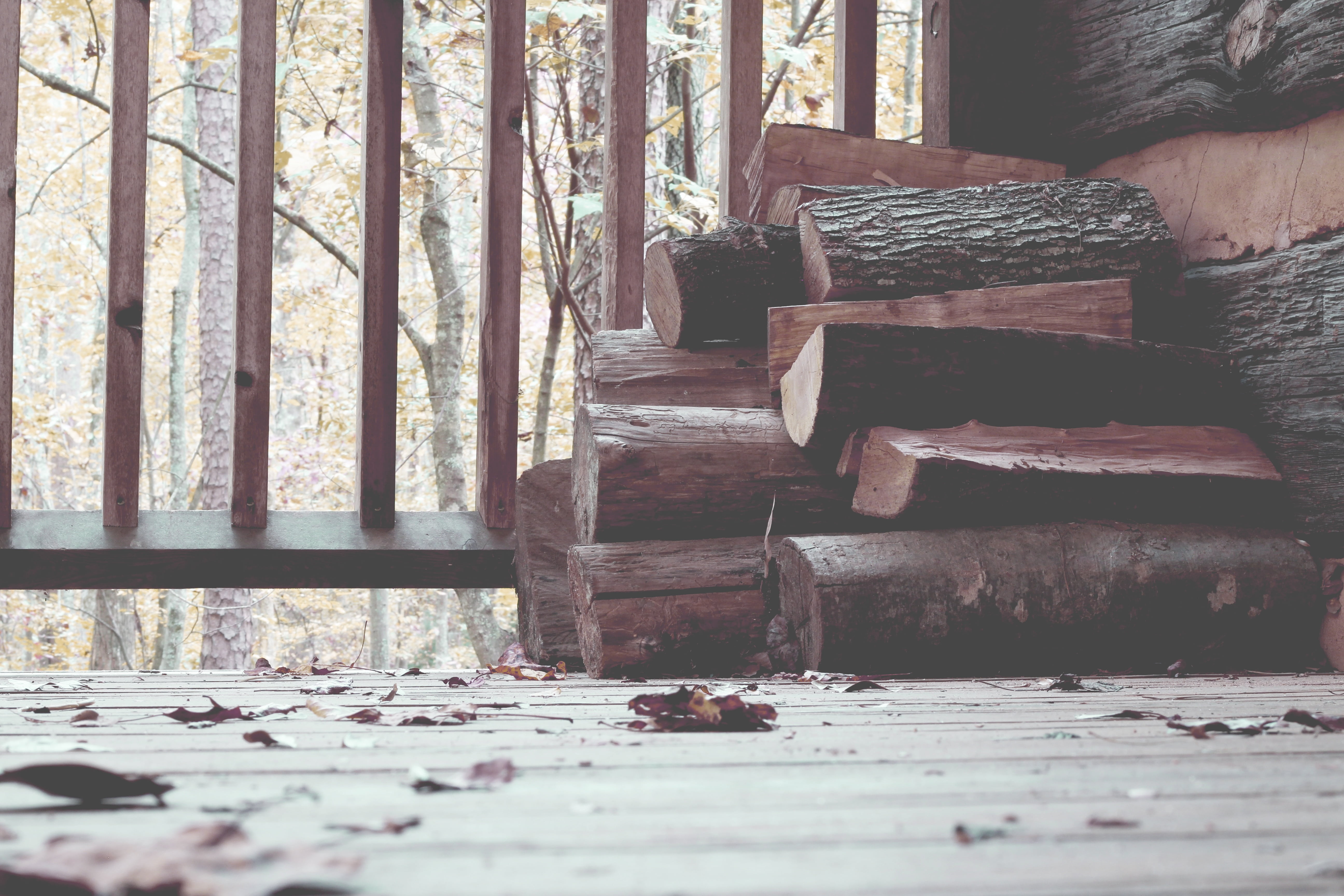 tree trunk, house, brun, billet, 5K, building, architecture, surface level, wood - Material, day, wood, firewood, stack, indoors, sunlight, renewable energy, HD Wallpaper