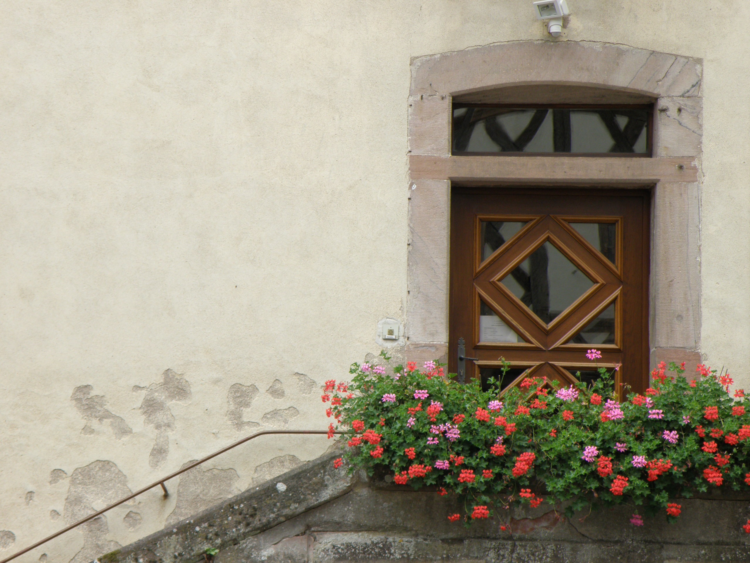 veranda, beauty in nature, window, wall, geraniums, entrance, day, flowering plant, plant, growth, building exterior, nature, door, no people, architecture, HD Wallpaper