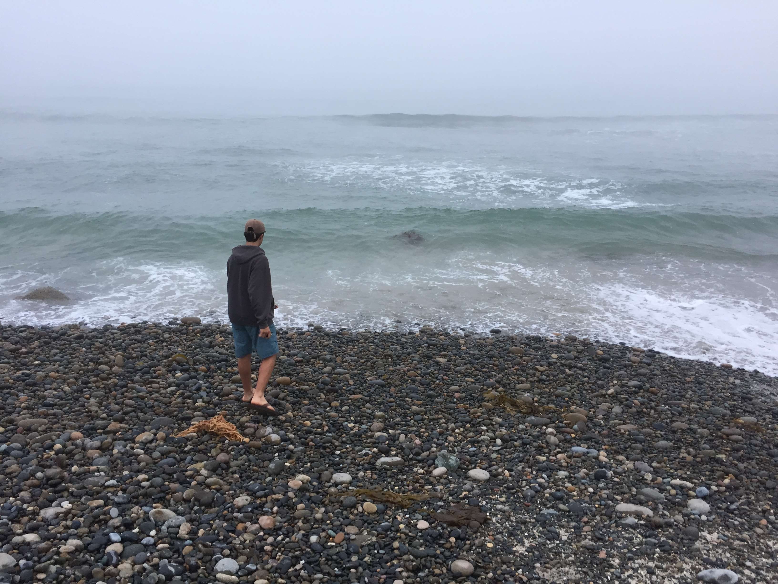solid, leisure activity, nature, lifestyles, male, ocean, outdoors, water, motion, stones, sweatshirt, rocks, pebbles, real people, teen, one person, shorts, HD Wallpaper