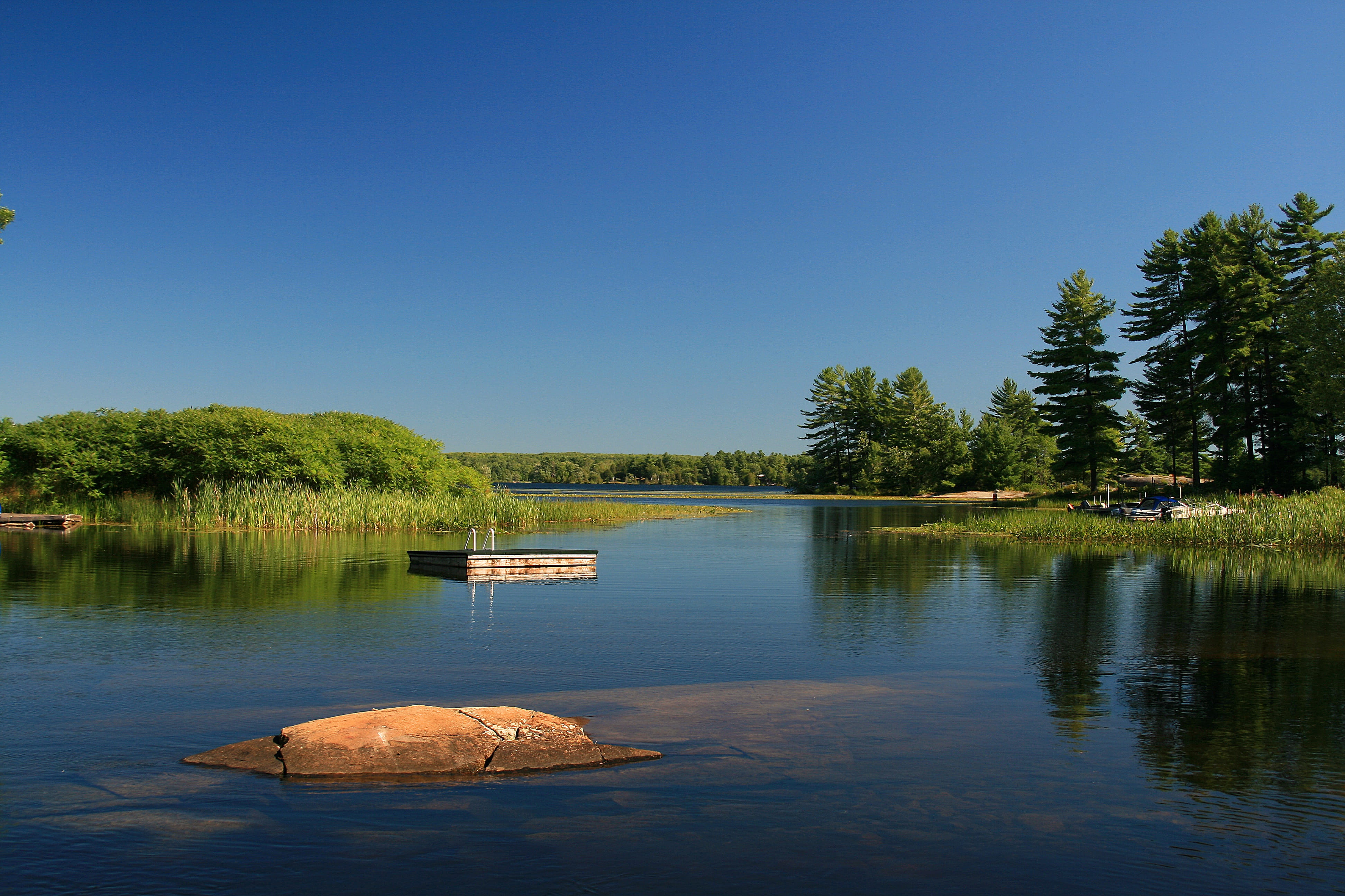 reflection, plant, scenics - nature, waterfront, beauty in nature, sky, tranquil scene, calm, no people, tree, day, blue, wetlands, lake, growth, grasses, HD Wallpaper