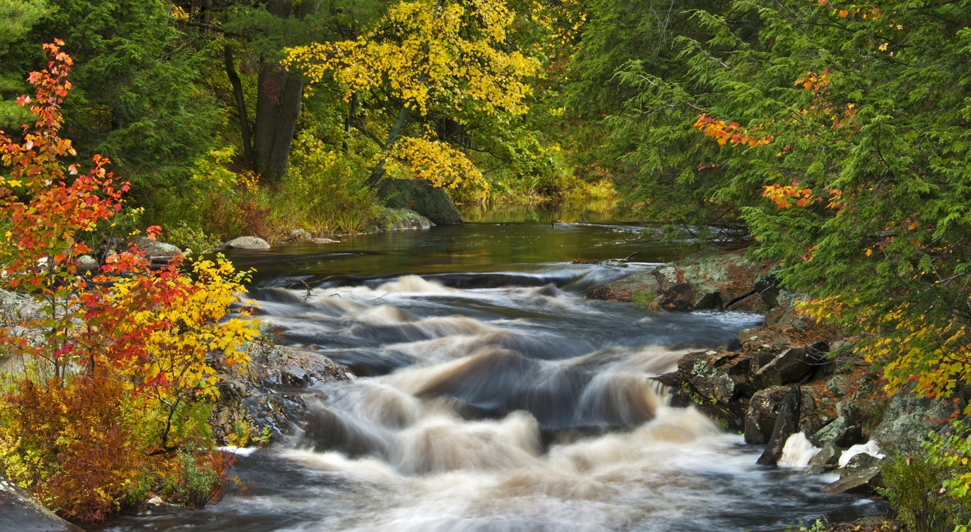 no people, region, Rivers, long exposure, Canada, Fall, flowing water, water, rock, trees, plant, tree, change, day, land, green, roseau, 1080P, HD Wallpaper