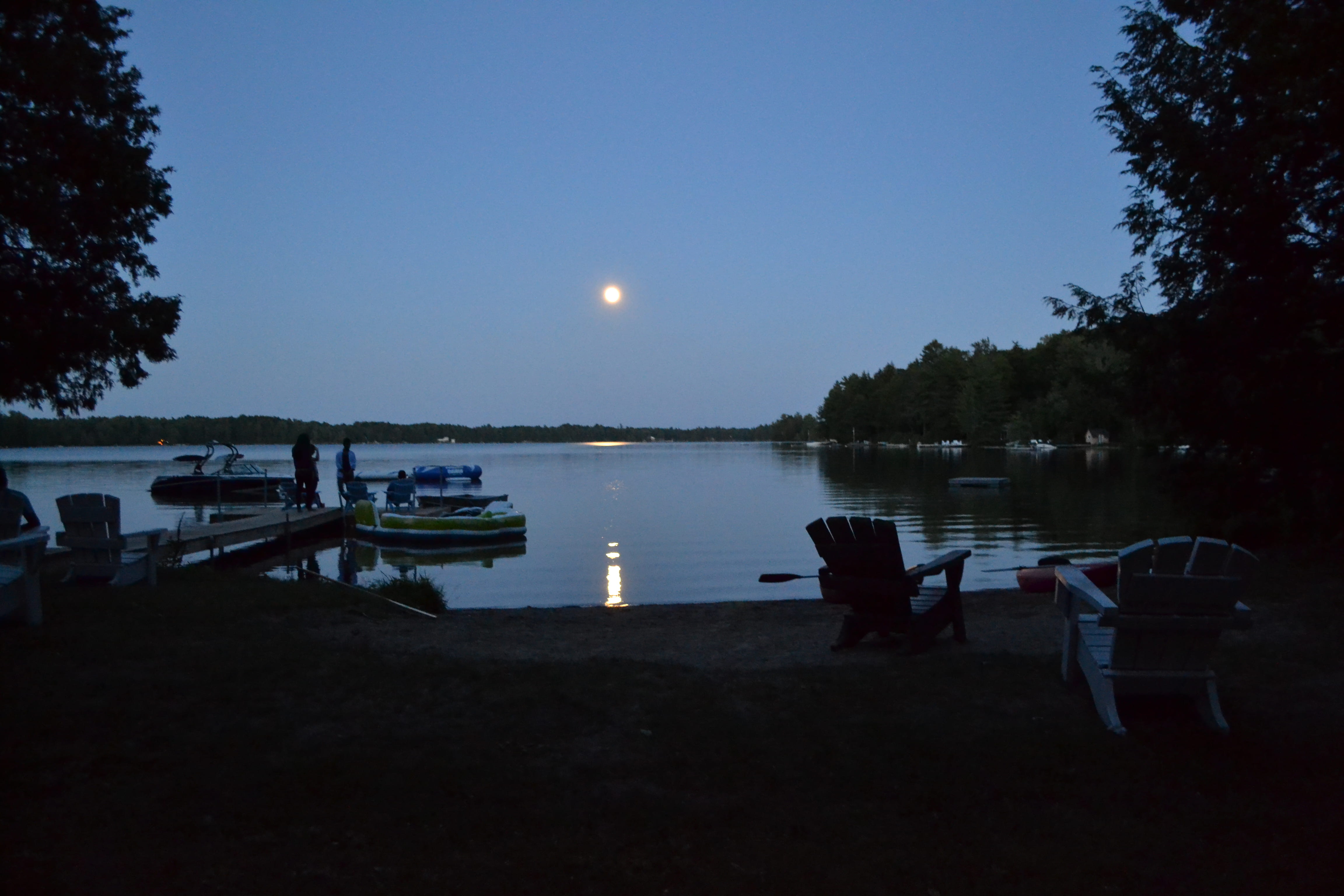 moon, beauty in nature, tranquility, transportation, scenics - nature, muskoka, mode of transportation, plant, 4K, sky, calm, water, nautical vessel, moonlight, HD Wallpaper