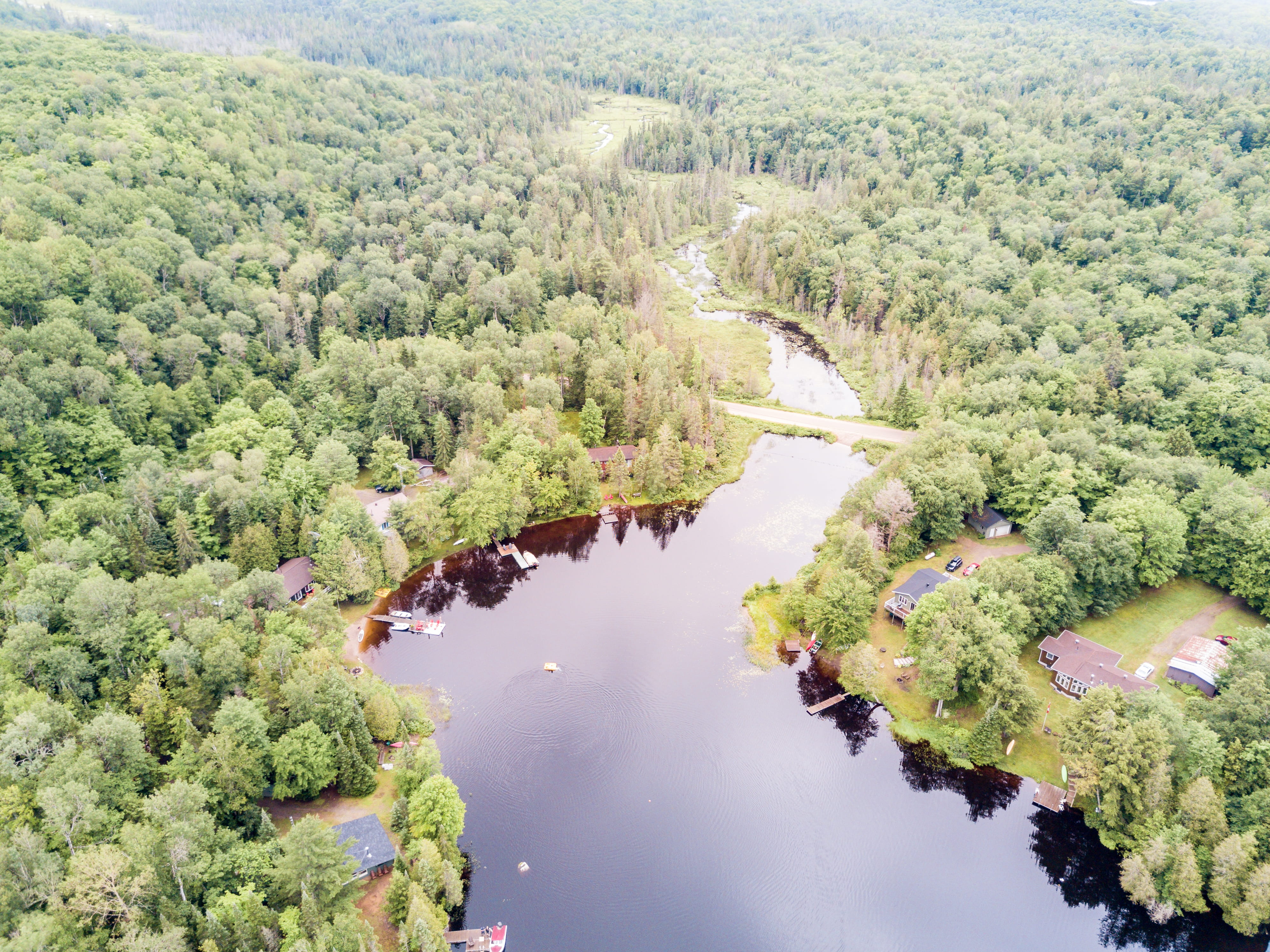 cottage, tree, scenics - nature, tranquil scene, high angle view, tranquility, beauty in nature, day, 4K, river, trees, aerial, foote lake, idyllic, growth, HD Wallpaper